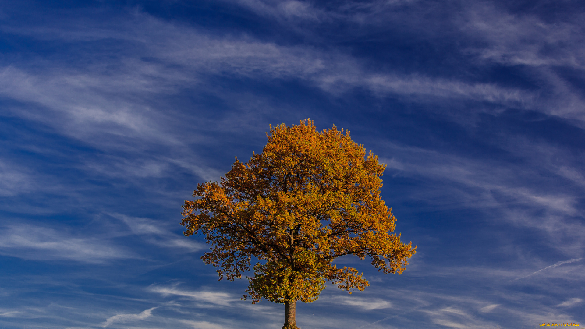 bavaria, germany, природа, деревья, небо, германия, бавария