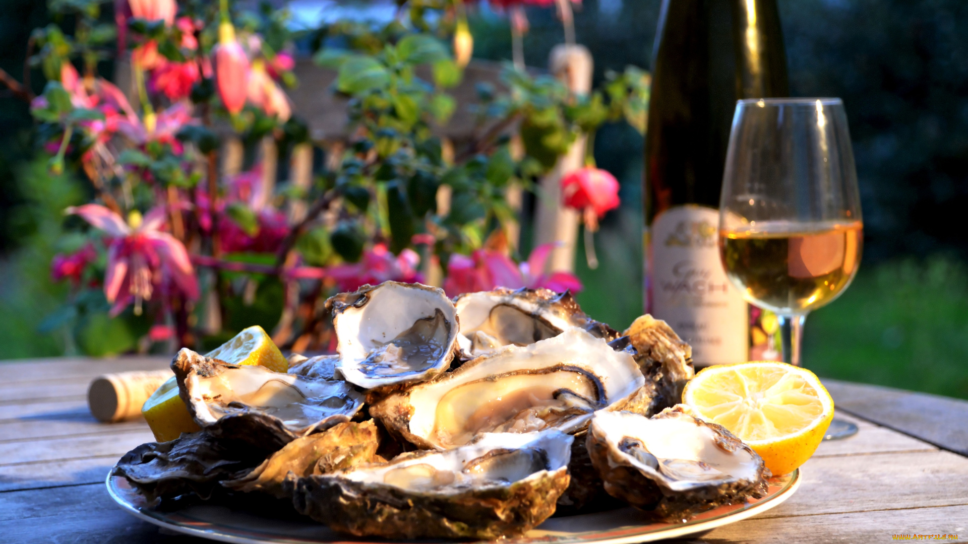 еда, рыба, морепродукты, суши, роллы, бокал, устрицы