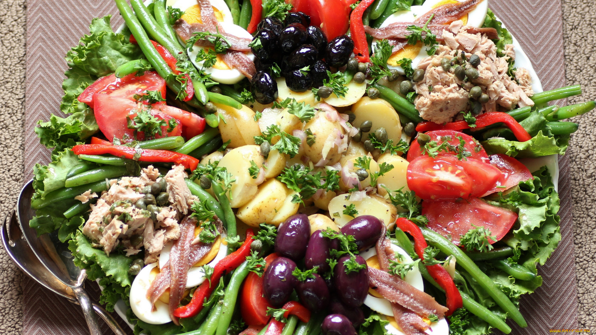 еда, салаты, закуски, nicoise, салат, помидоры, овощи, рыба