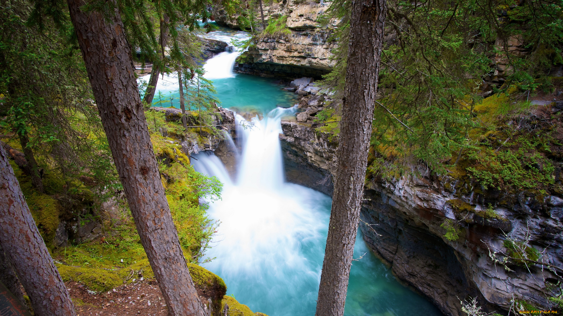 johnston, canyon, banff, np, canada, природа, водопады, лес, горы, парк, каньон, река