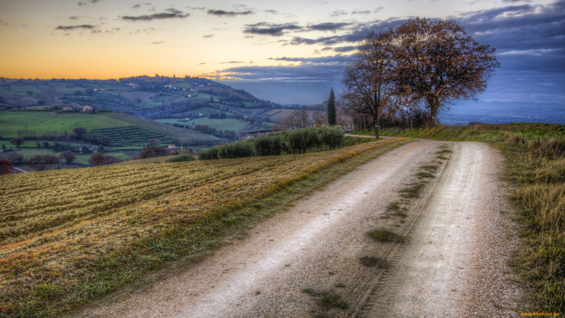 природа, дороги, трава, дерево, дорога, поле
