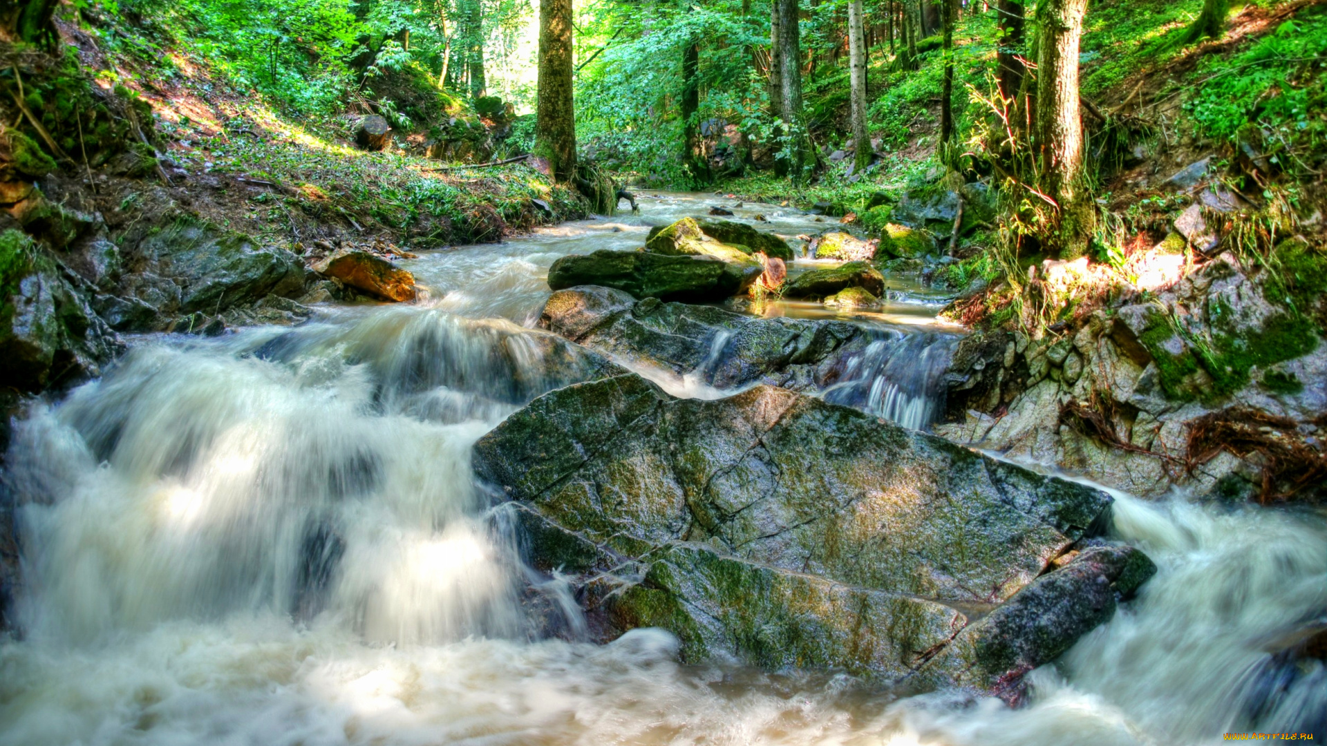 природа, реки, озера, камни, стремнина, река, лес, пороги