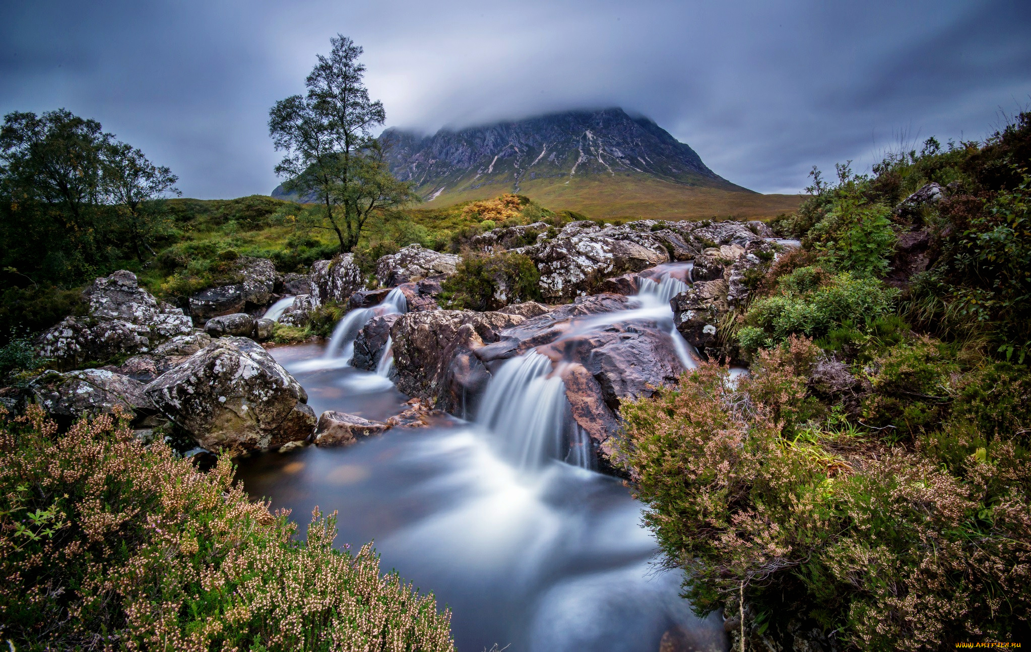 природа, реки, озера, ручей, гора, трава, камни, цветы, шотландия, scotland, glencoe, buachaille, etive, mor
