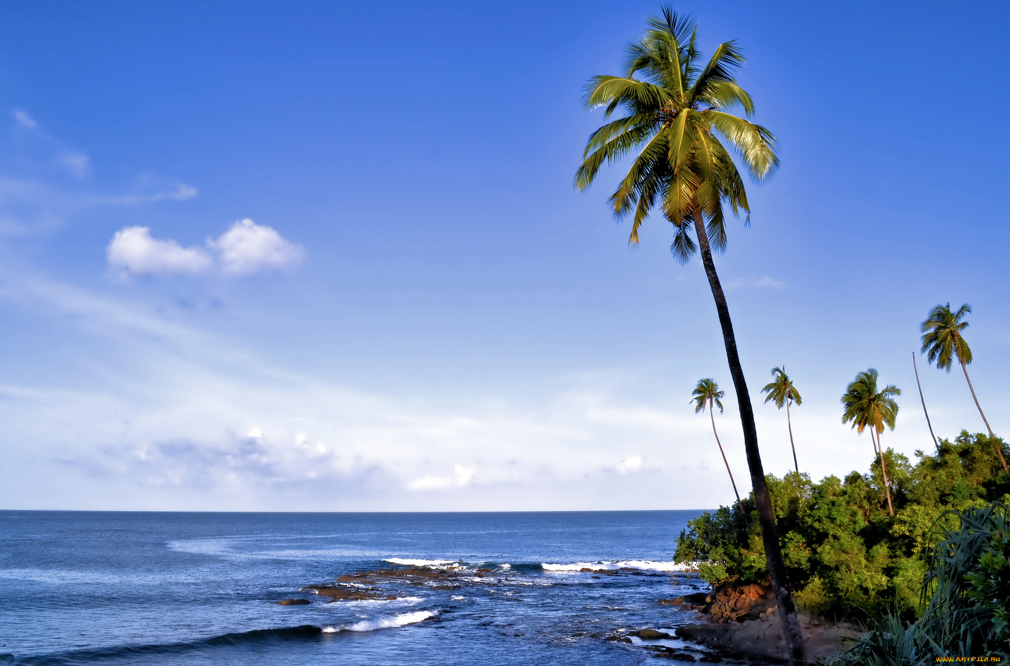 corbyn`s, cove, port, blair, south, andaman, island, india, природа, тропики, sea, бухта, корбина, порт-блэр, остров, южный, андаман, индия, андаманское, море, пальмы, побережье