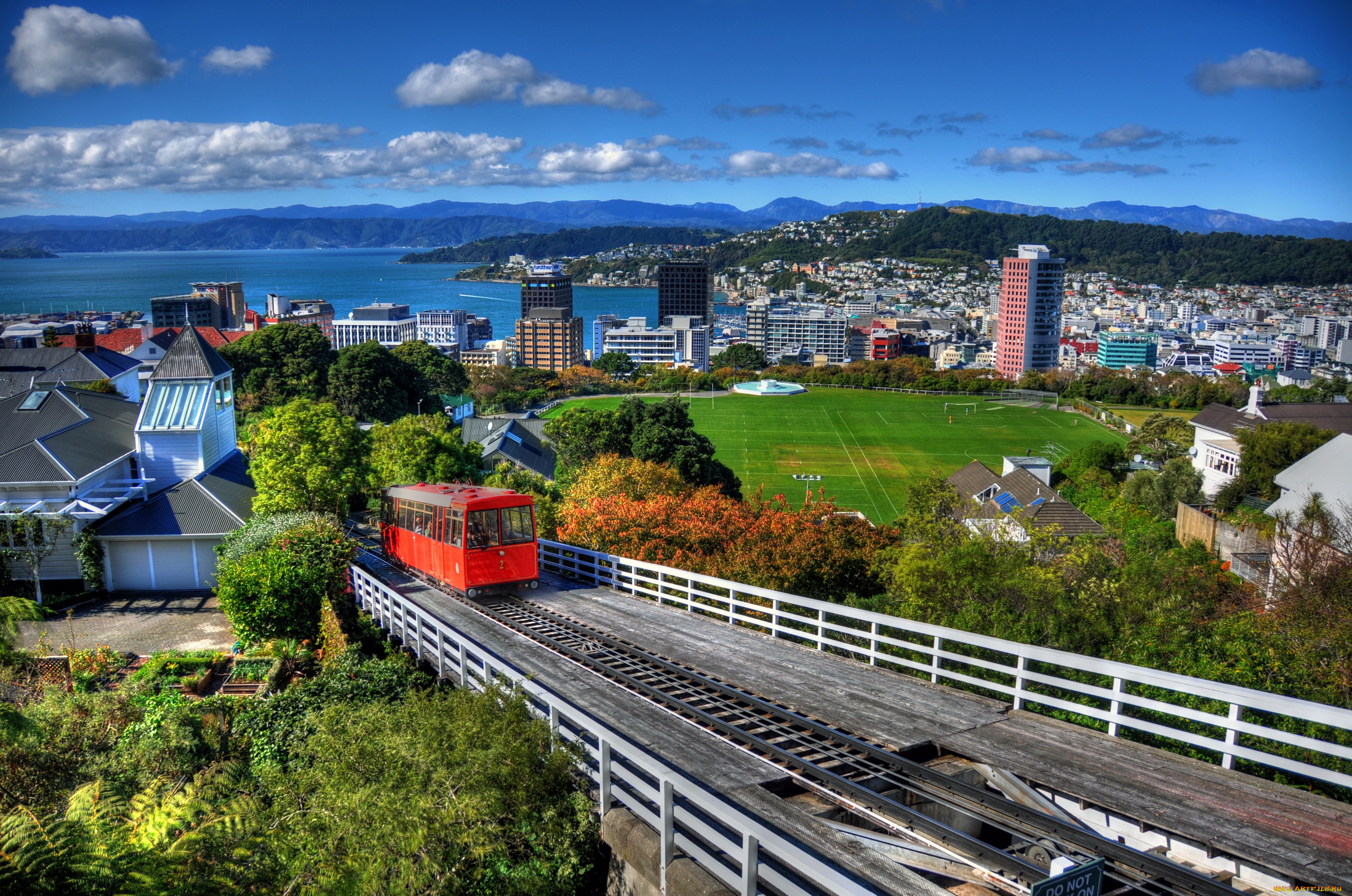 wellington, новая, зеландия, города, веллингтон, дома, панорама