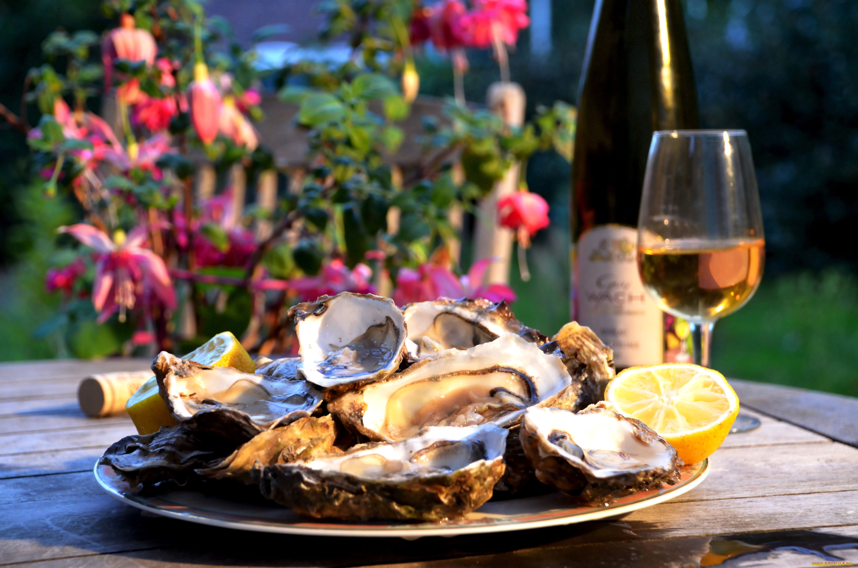 еда, рыба, морепродукты, суши, роллы, бокал, устрицы