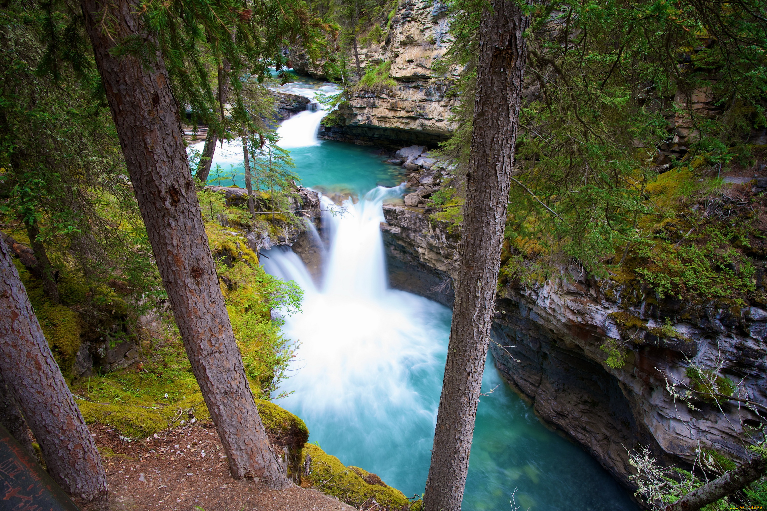 johnston, canyon, banff, np, canada, природа, водопады, лес, горы, парк, каньон, река