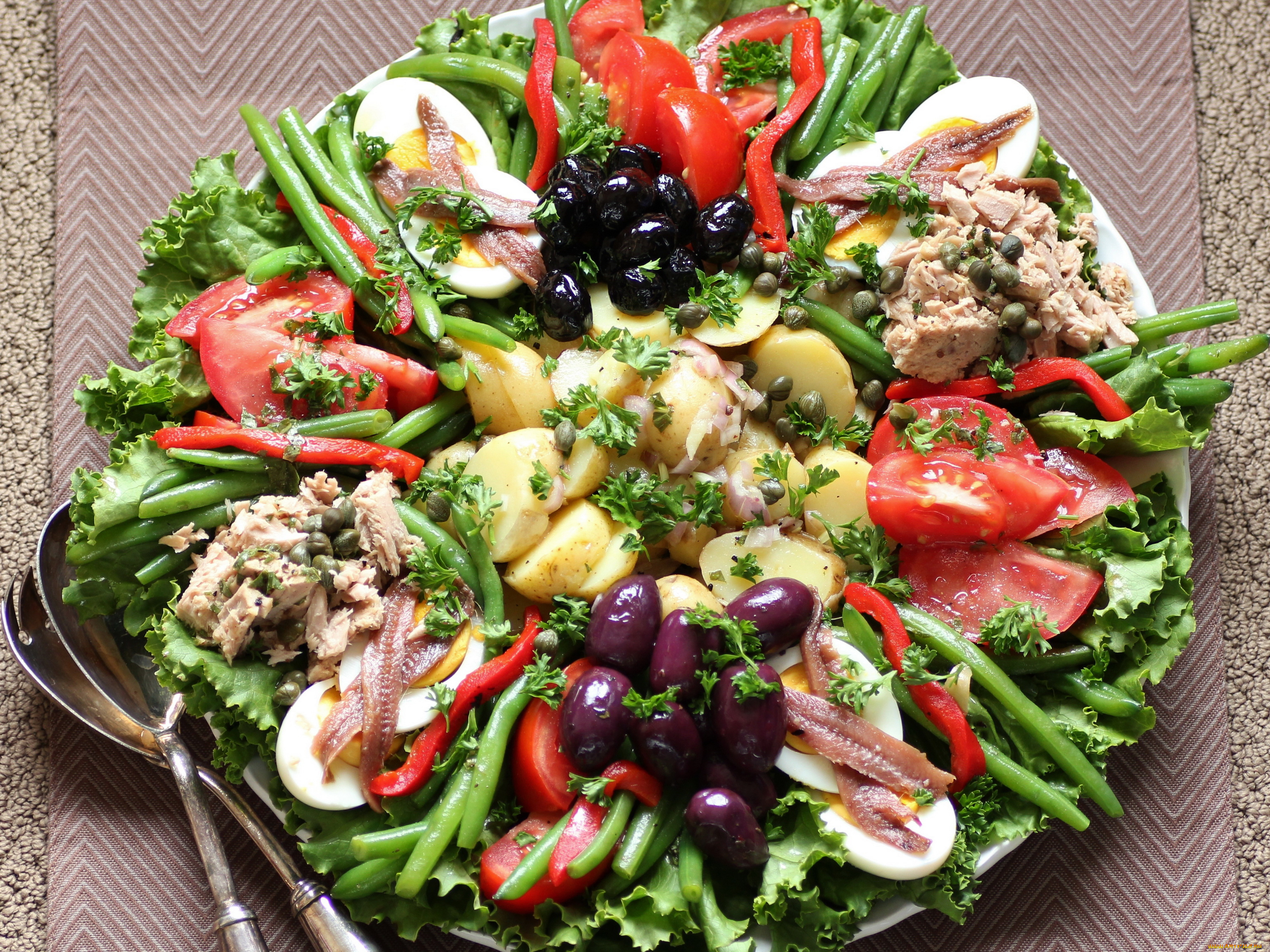 еда, салаты, закуски, nicoise, салат, помидоры, овощи, рыба