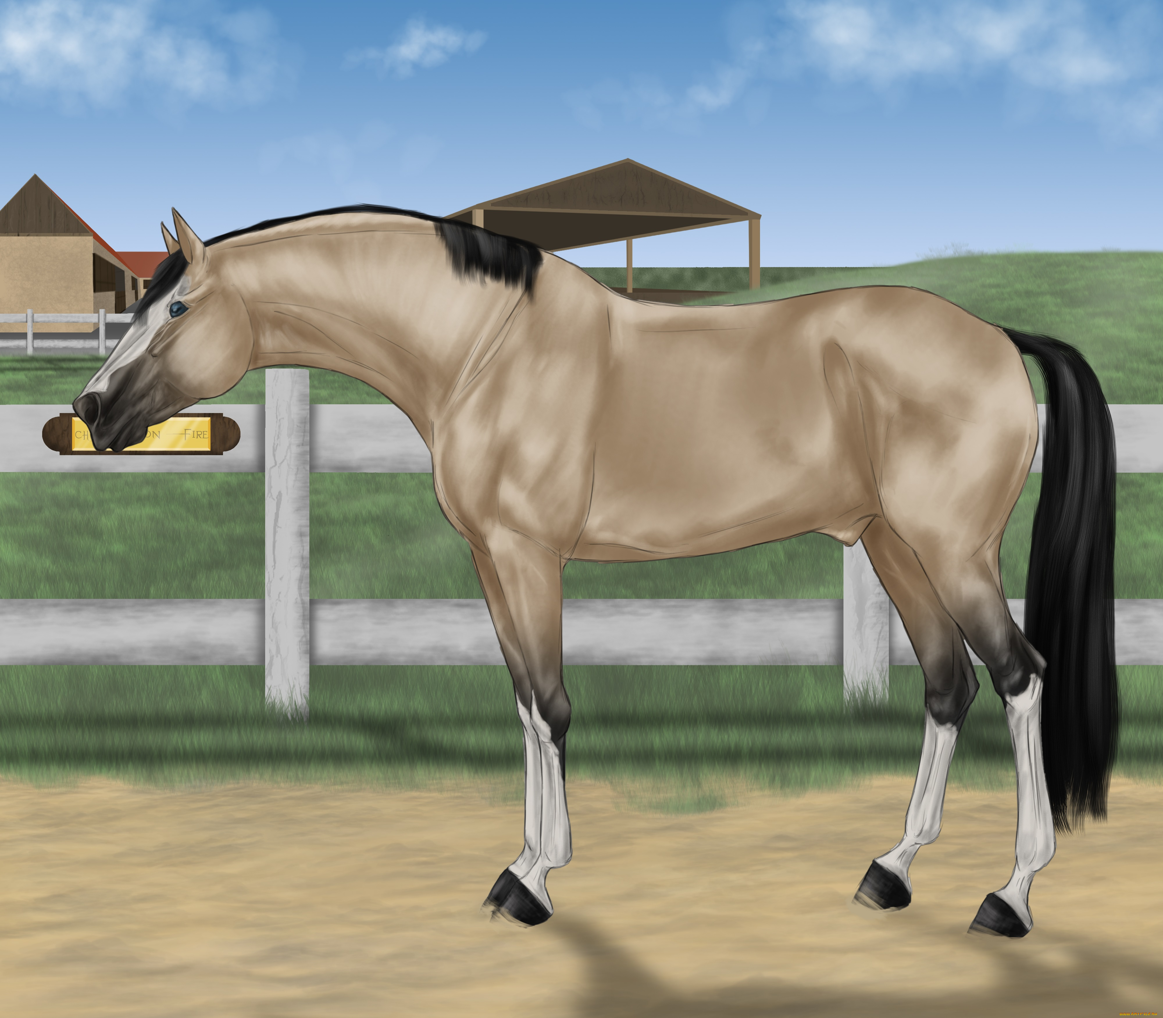 рисованные, животные, лошади, лошадь