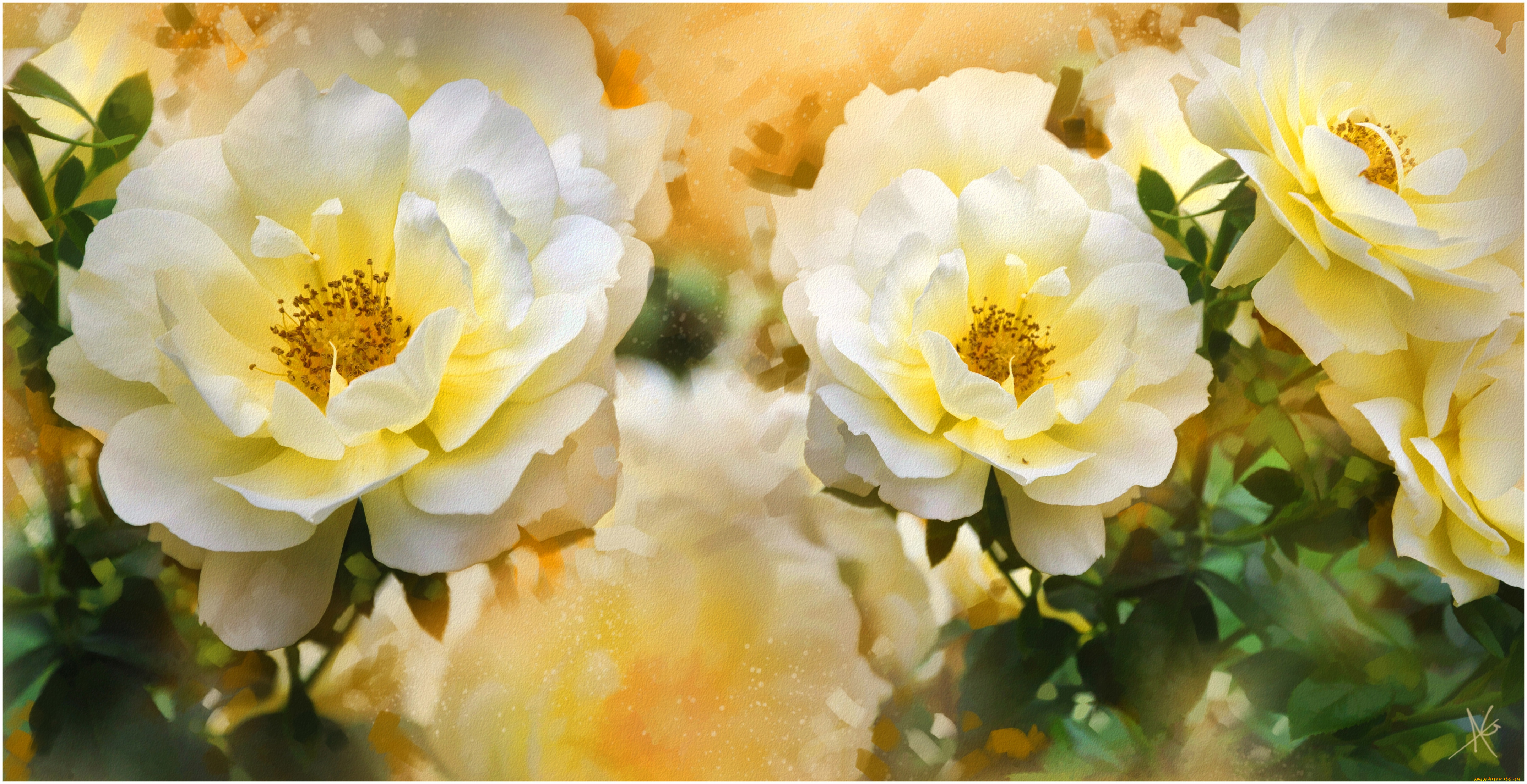 рисованные, цветы, шиповник