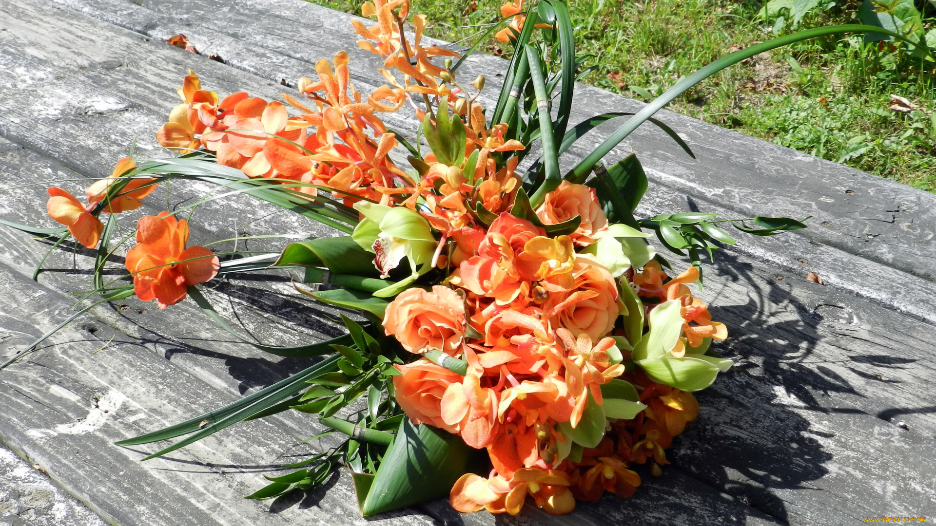 цветы, букеты, , композиции, розы, букет, орхидеи