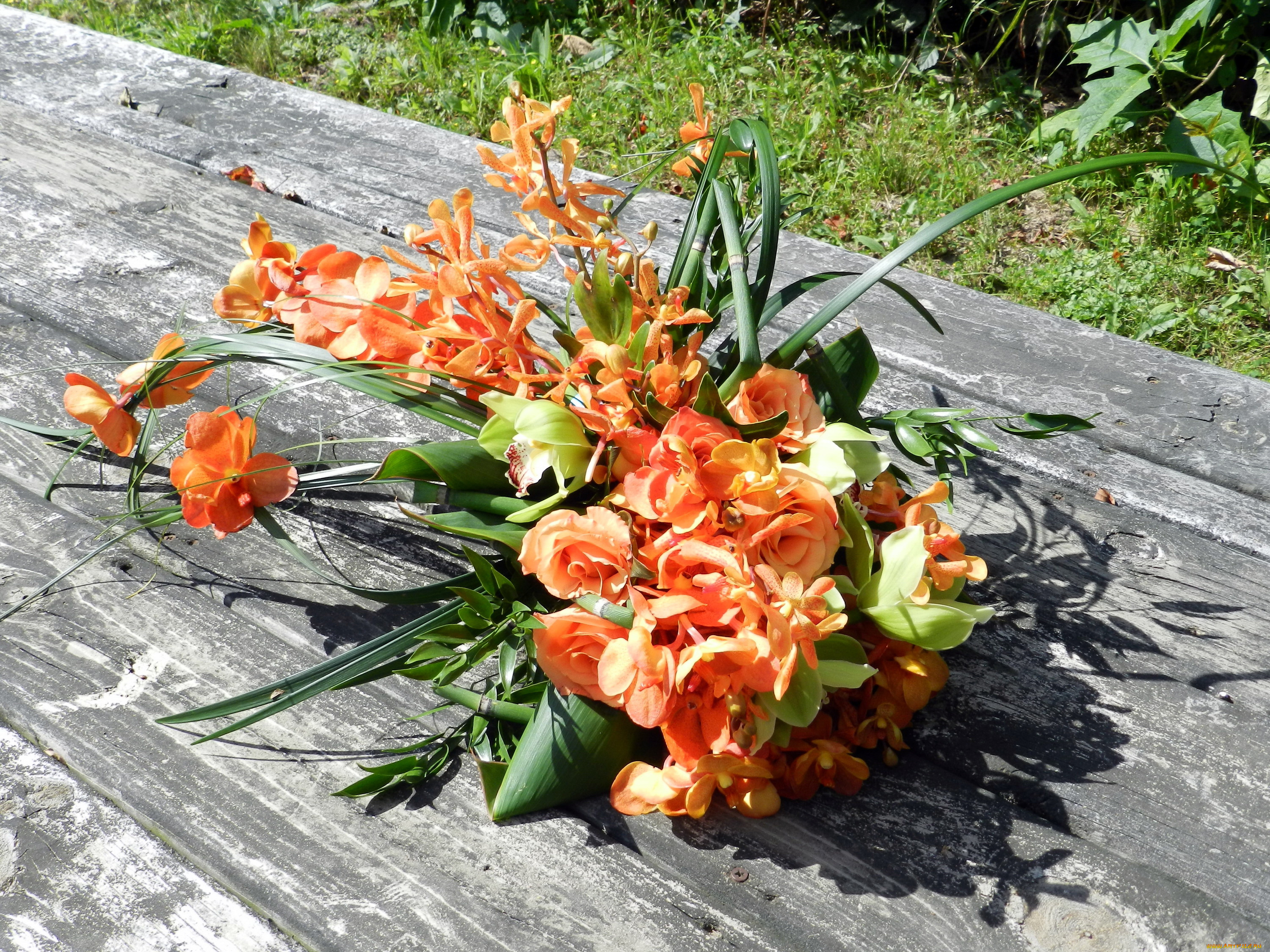 цветы, букеты, , композиции, розы, букет, орхидеи