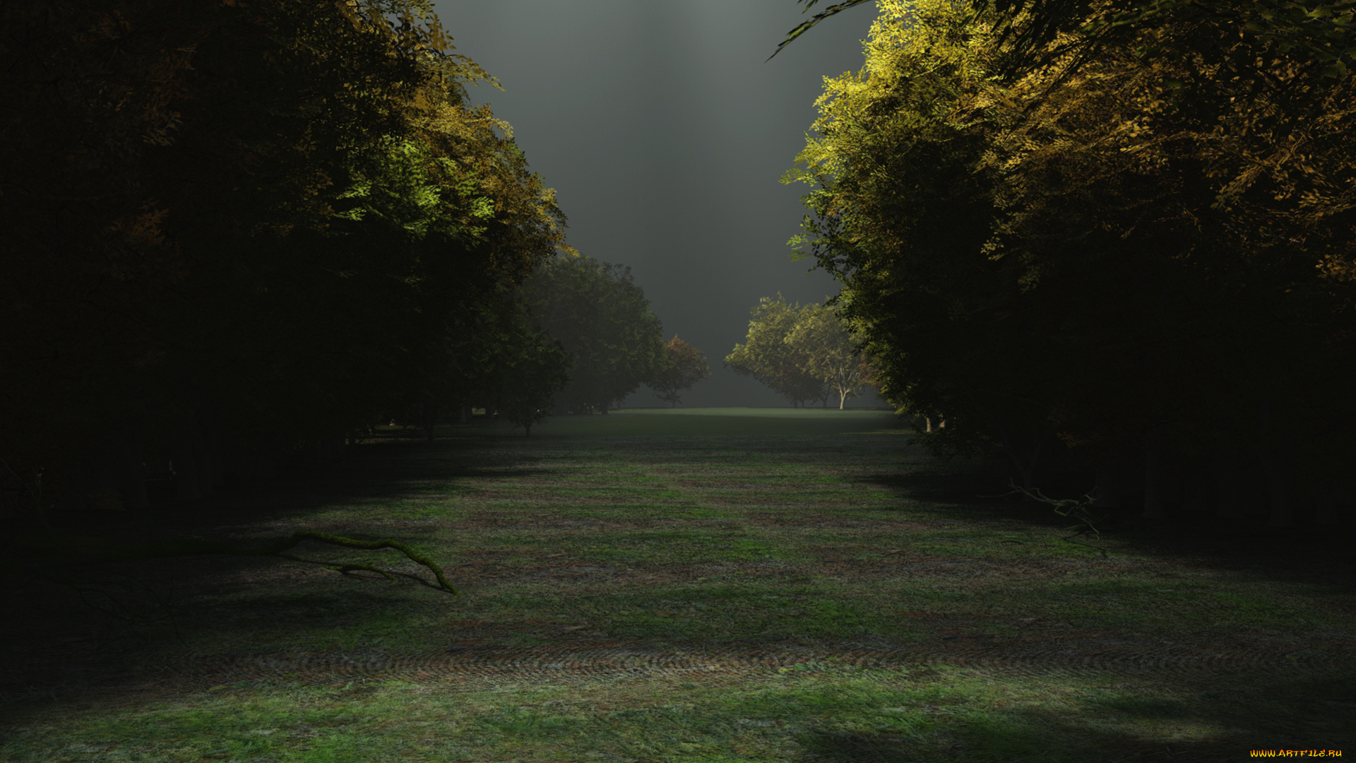 3д, графика, природа, , nature, деревья