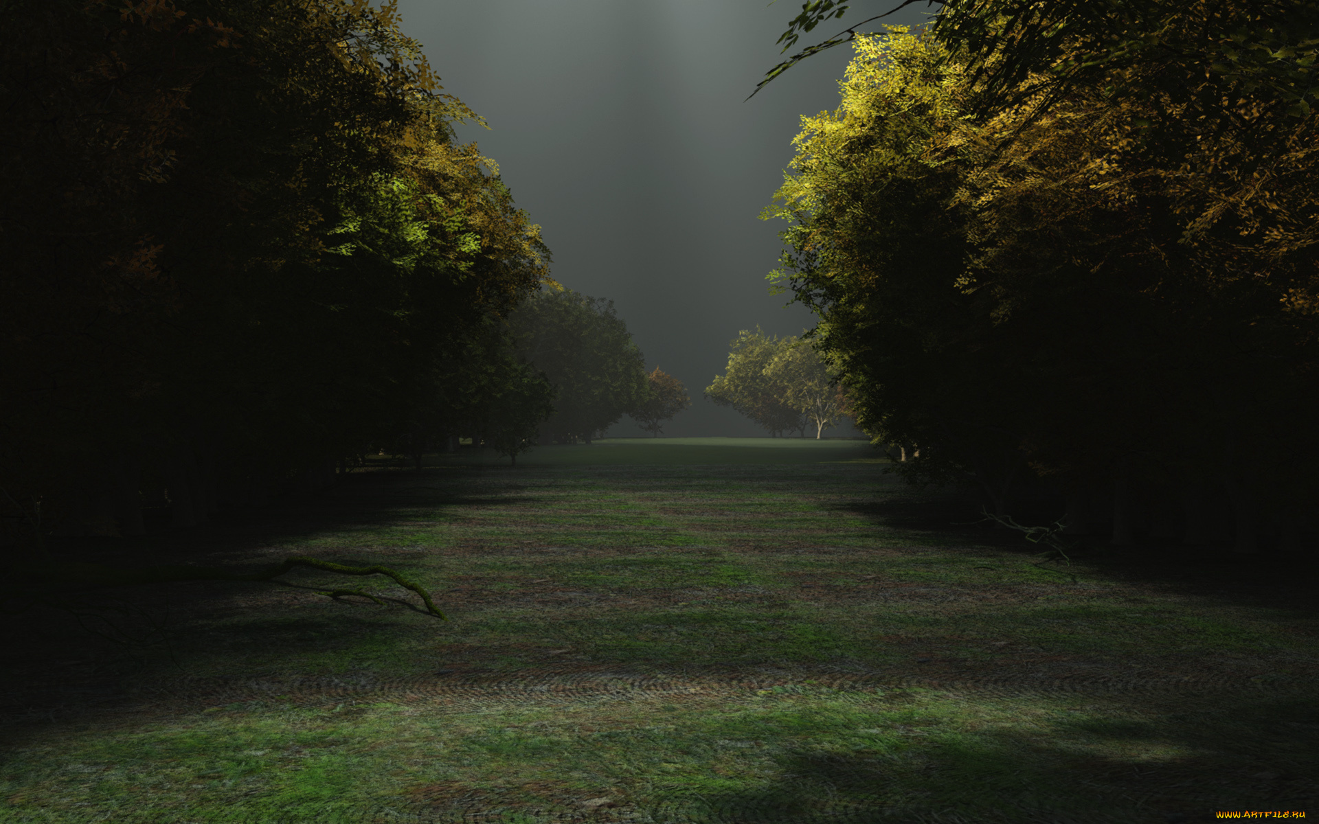 3д, графика, природа, , nature, деревья