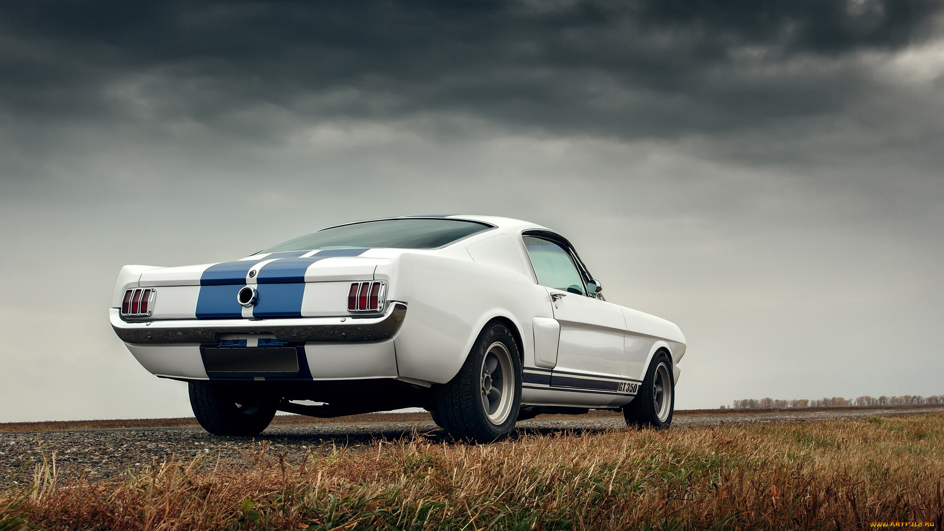 автомобили, mustang, тучи, трава, белый, ford, gt350, форд, шоссе, дорога, мустанг