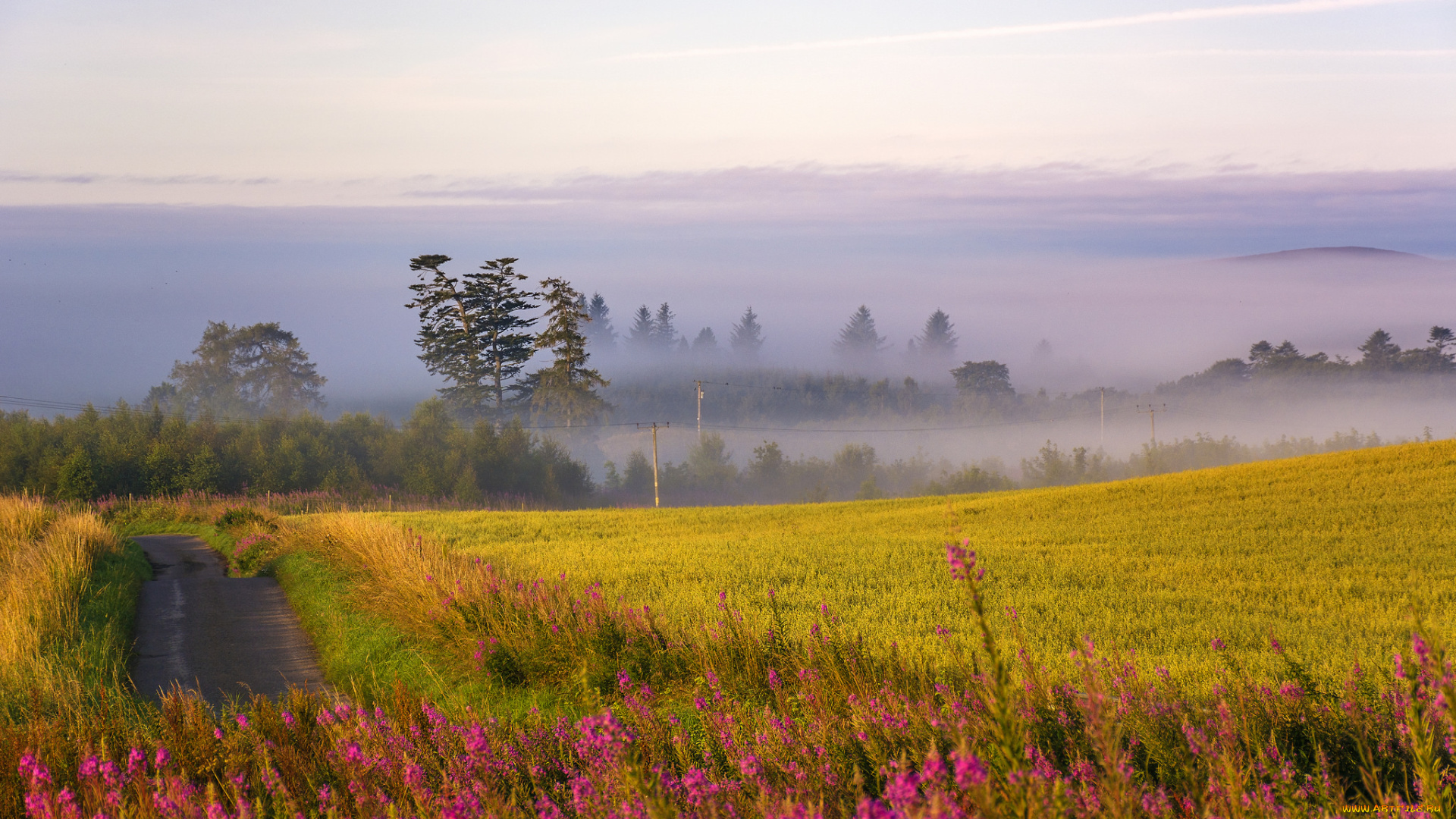 природа, дороги, тракт