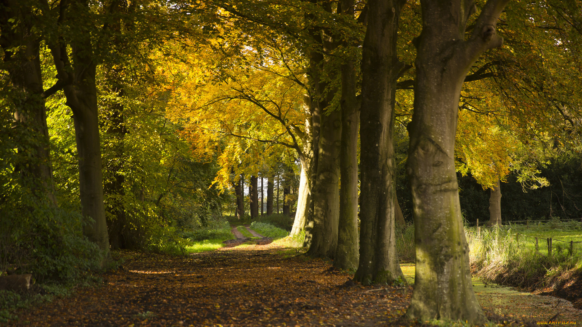 природа, дороги, тракт