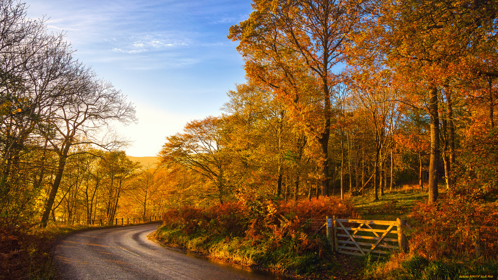 природа, дороги, тракт