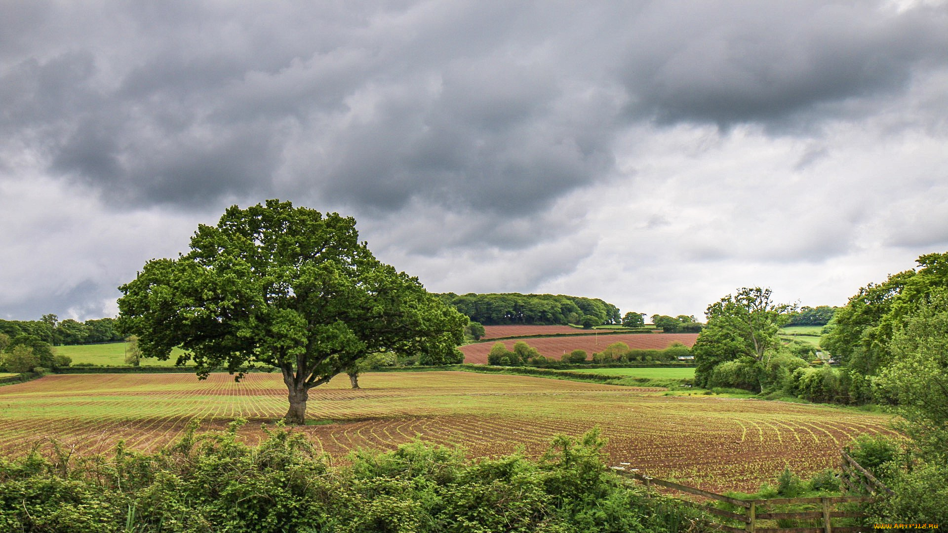 природа, пейзажи, простор