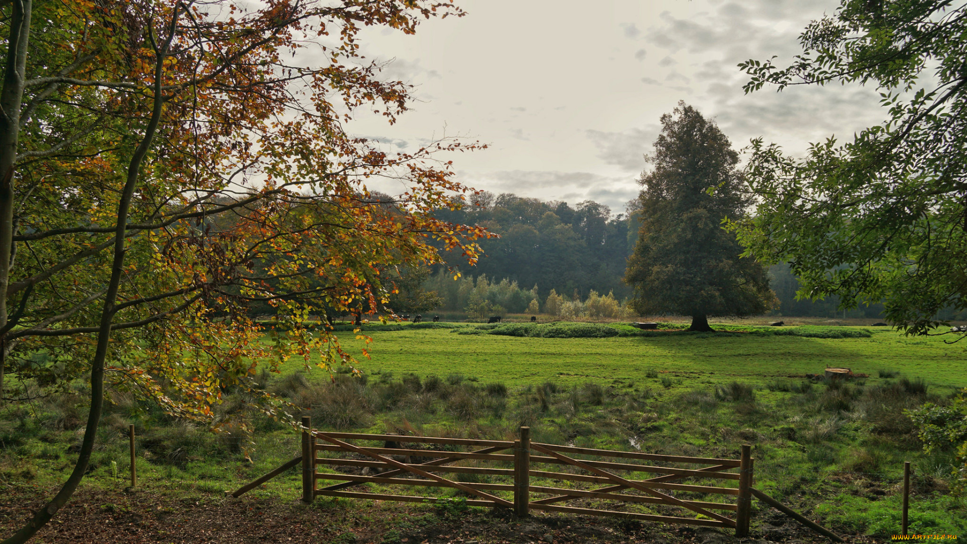 природа, пейзажи, простор