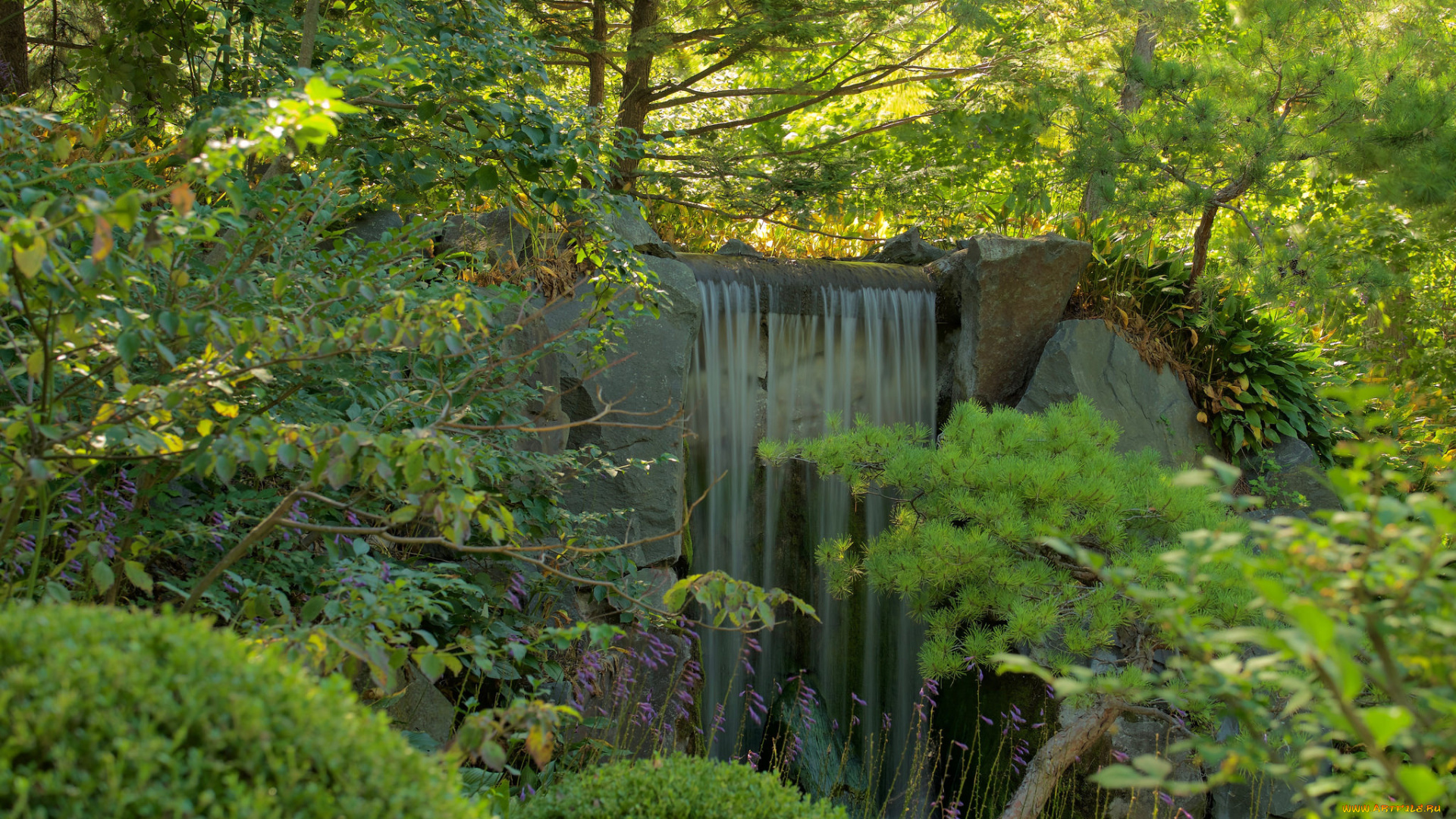 природа, водопады, река, водопад, лес