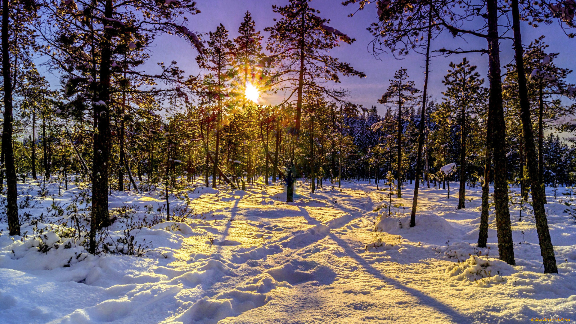 природа, зима, снег