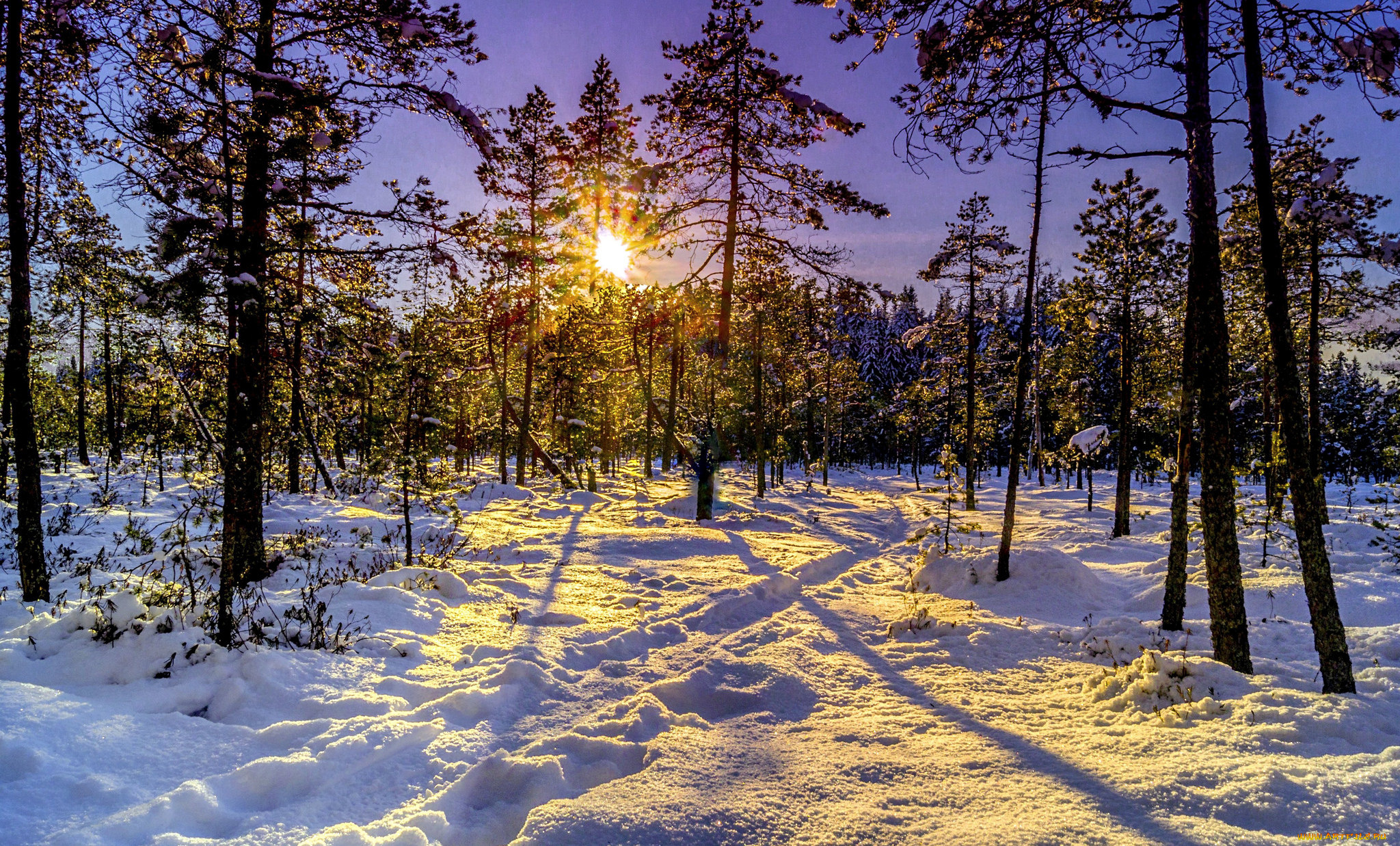 природа, зима, снег