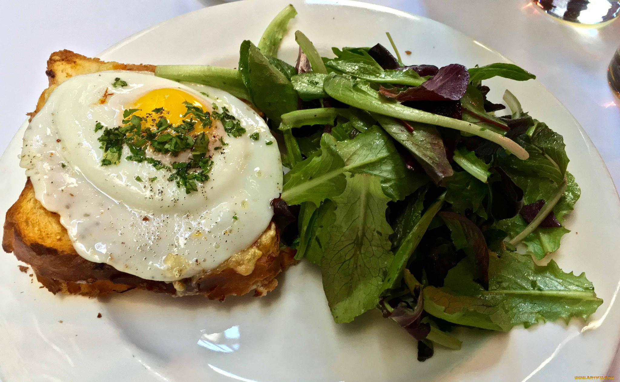 еда, Яичные, блюда, ланч