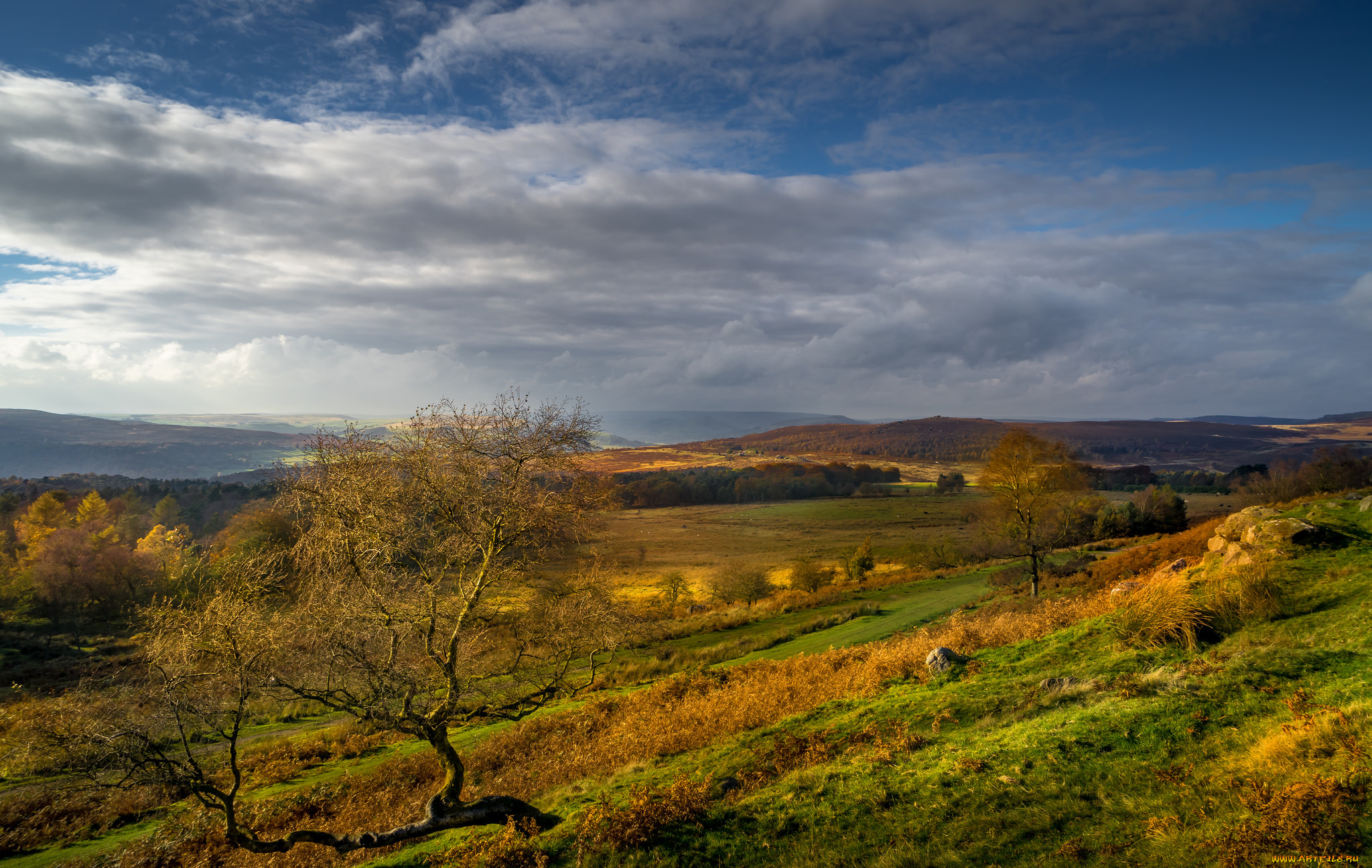 природа, пейзажи, простор
