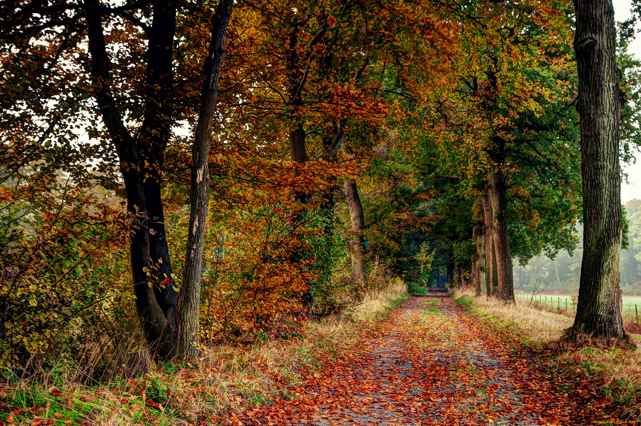 природа, дороги, тракт