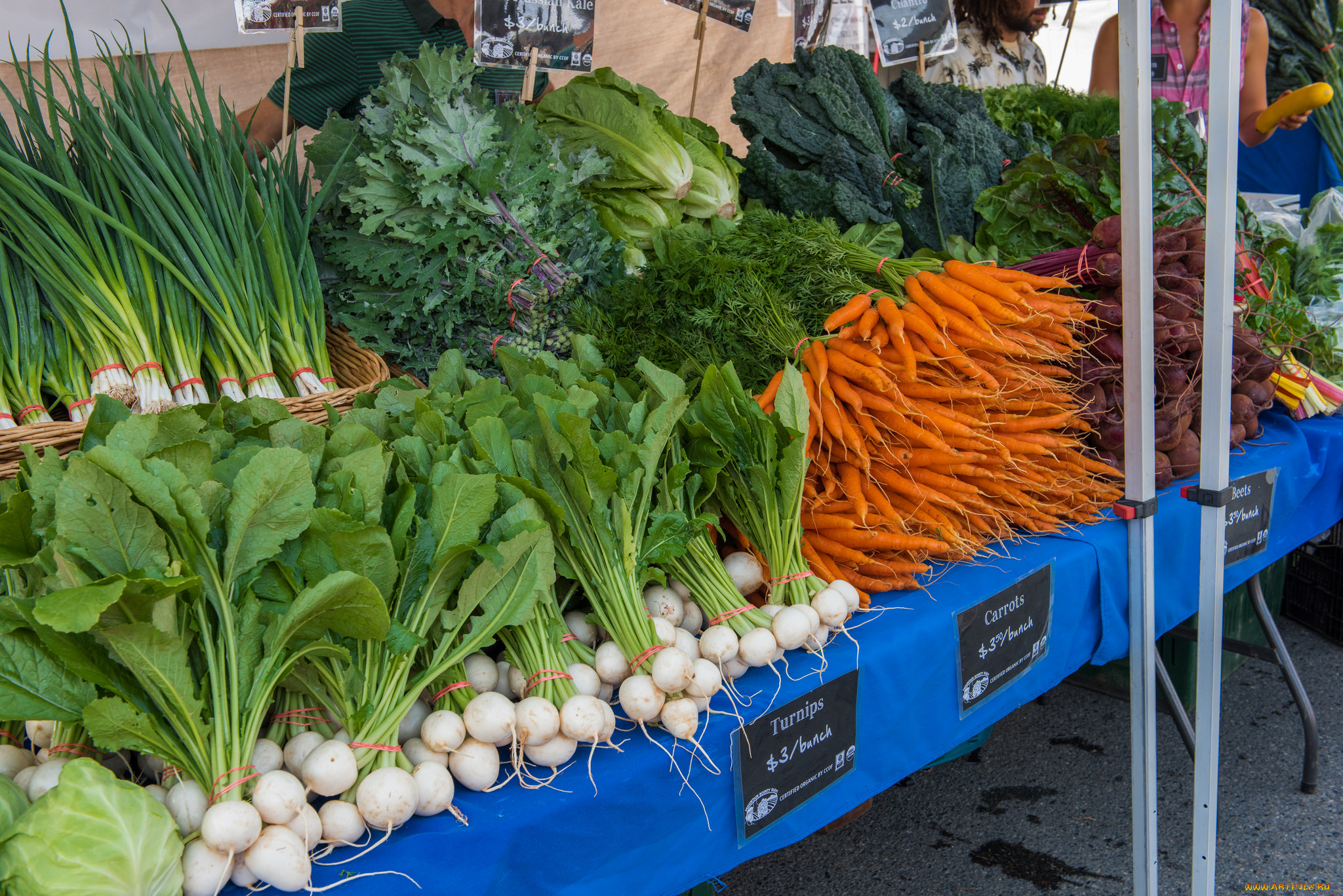 еда, овощи, прилавок