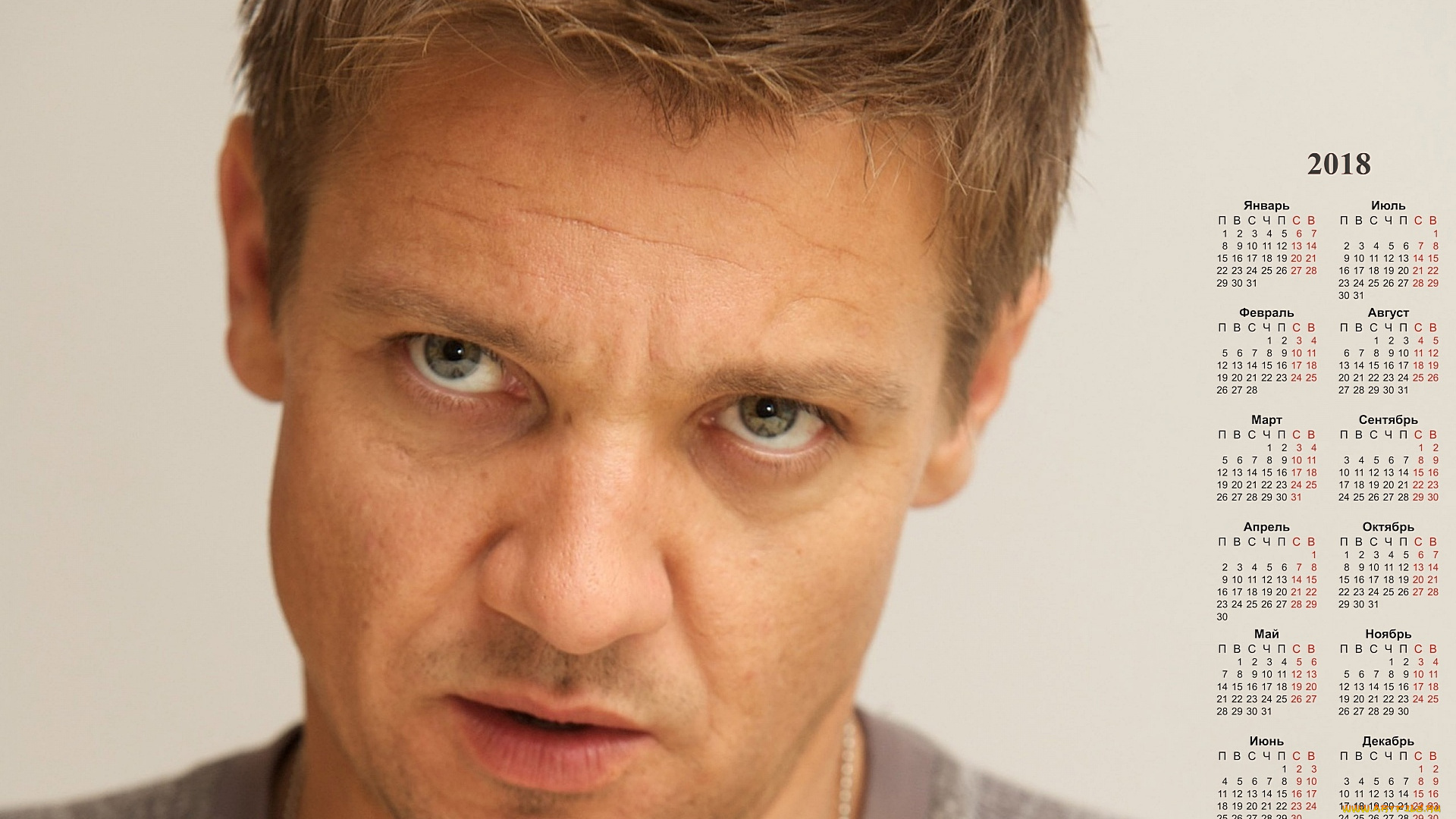 dzheremi, renner, календари, знаменитости, мужчина, актер, взгляд, лицо