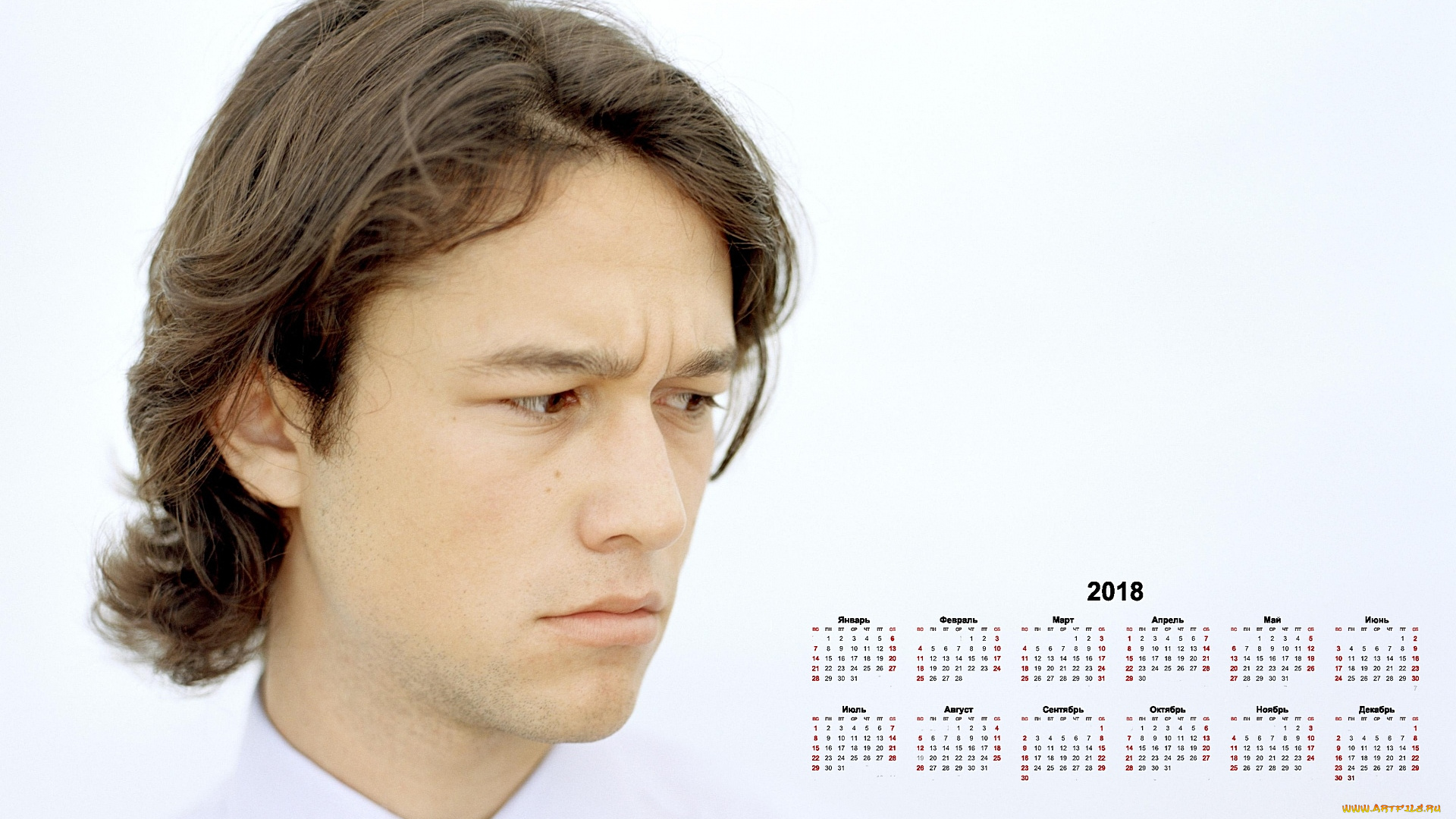 dzhozef, gordon-levitt, календари, знаменитости, парень, актер, профиль