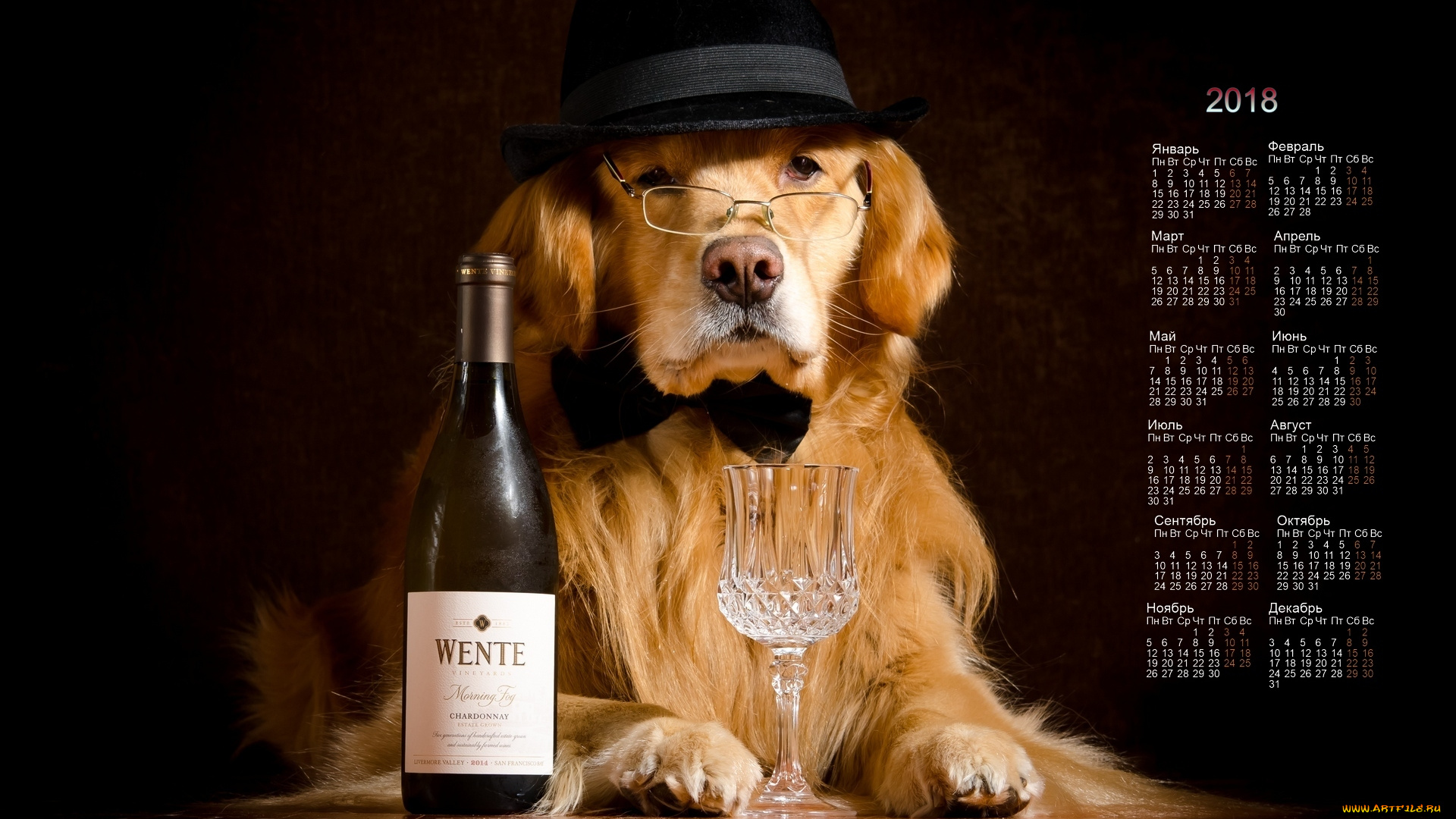 календари, животные, собака, взгляд, очки, шляпа, фужер, бутылка