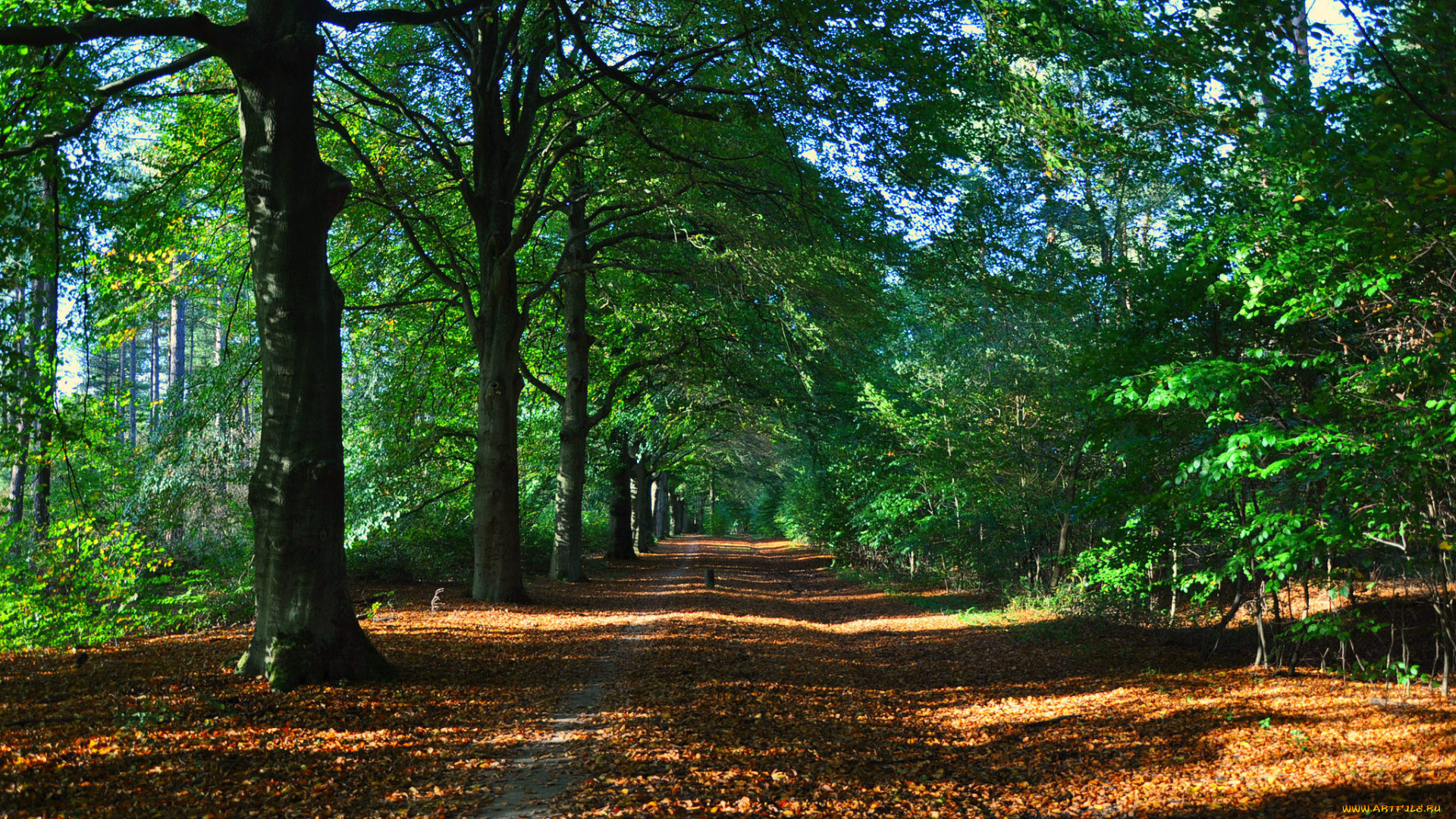 природа, дороги, простор