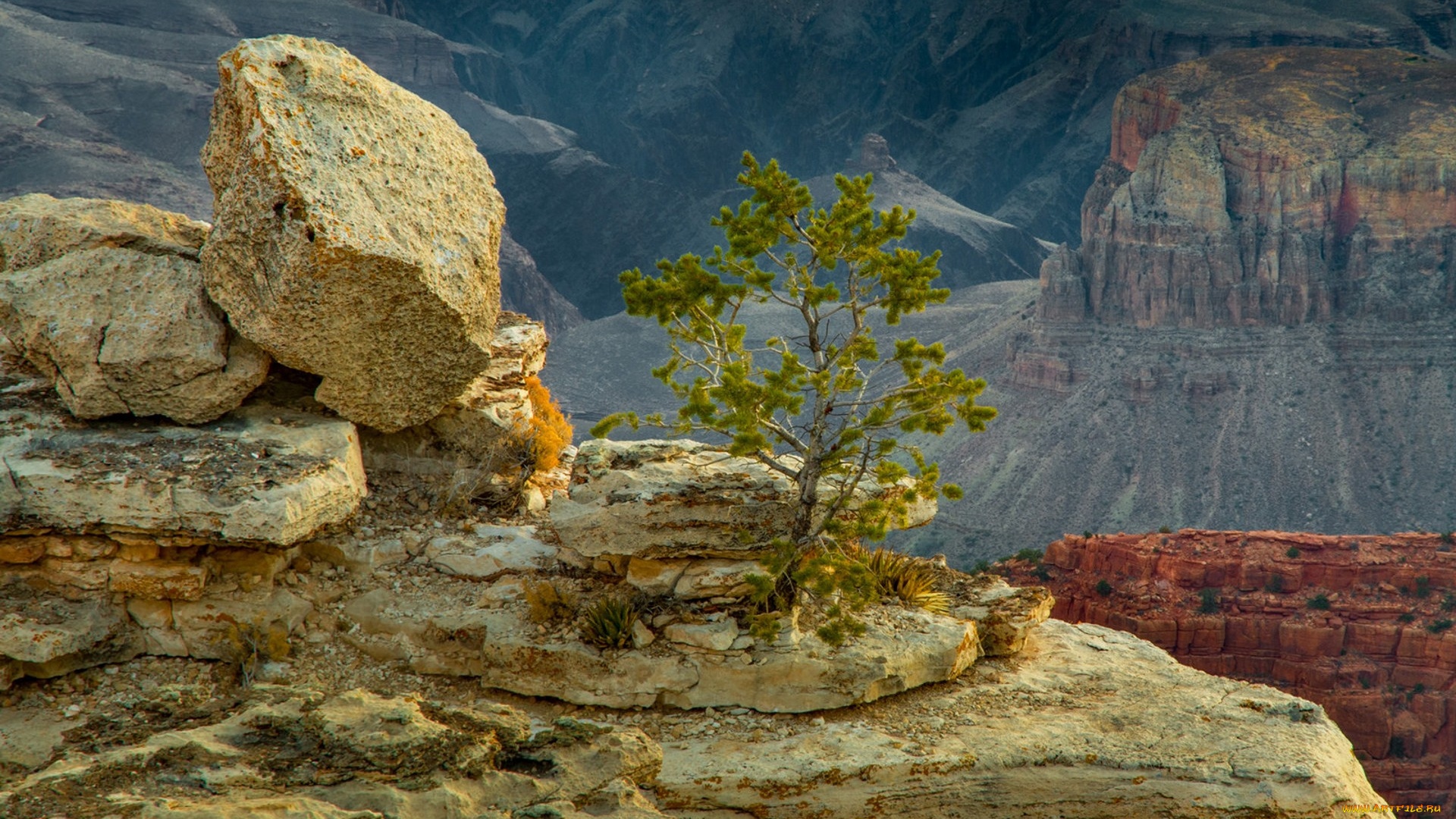 природа, горы, простор