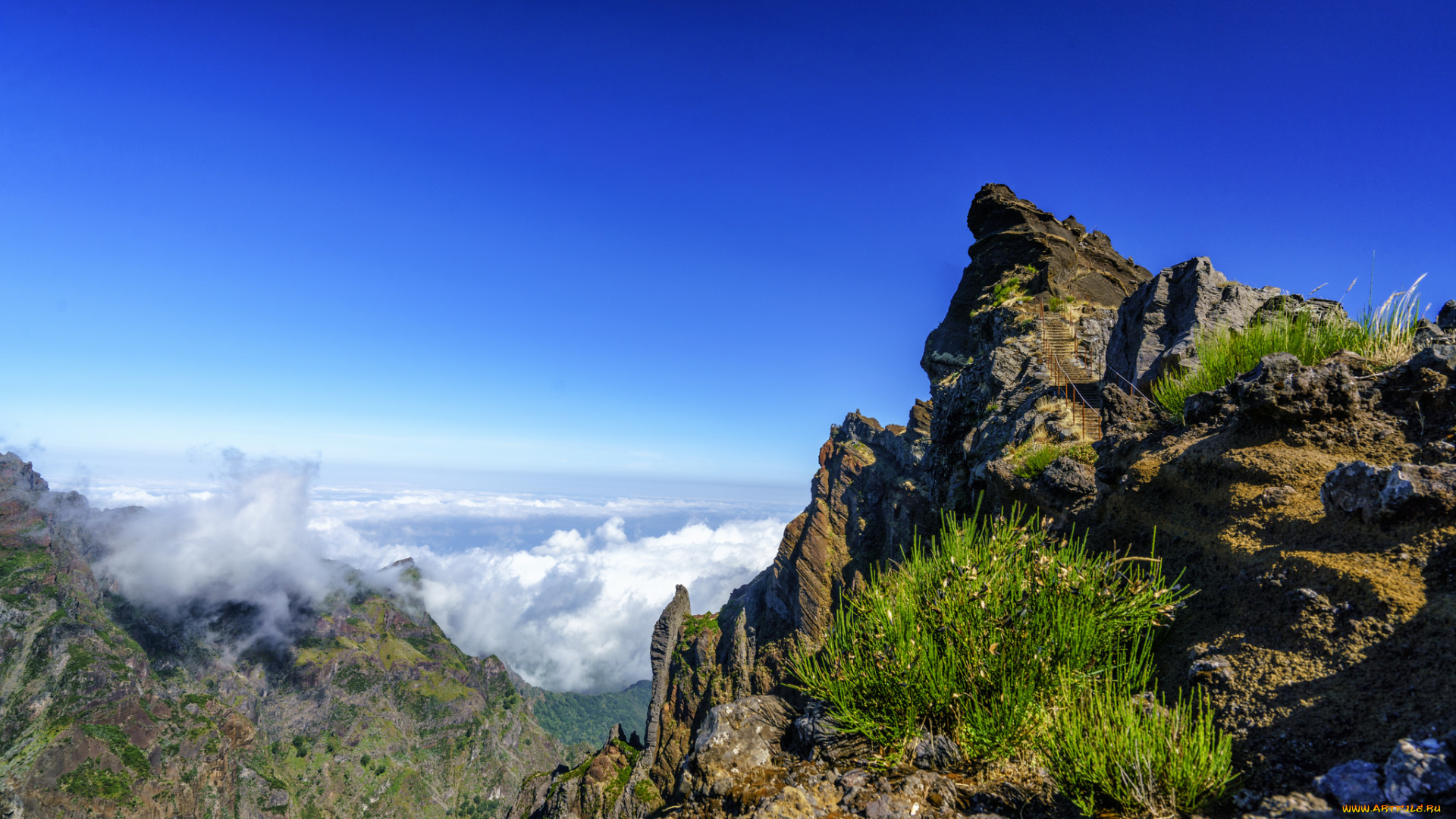 природа, горы, простор