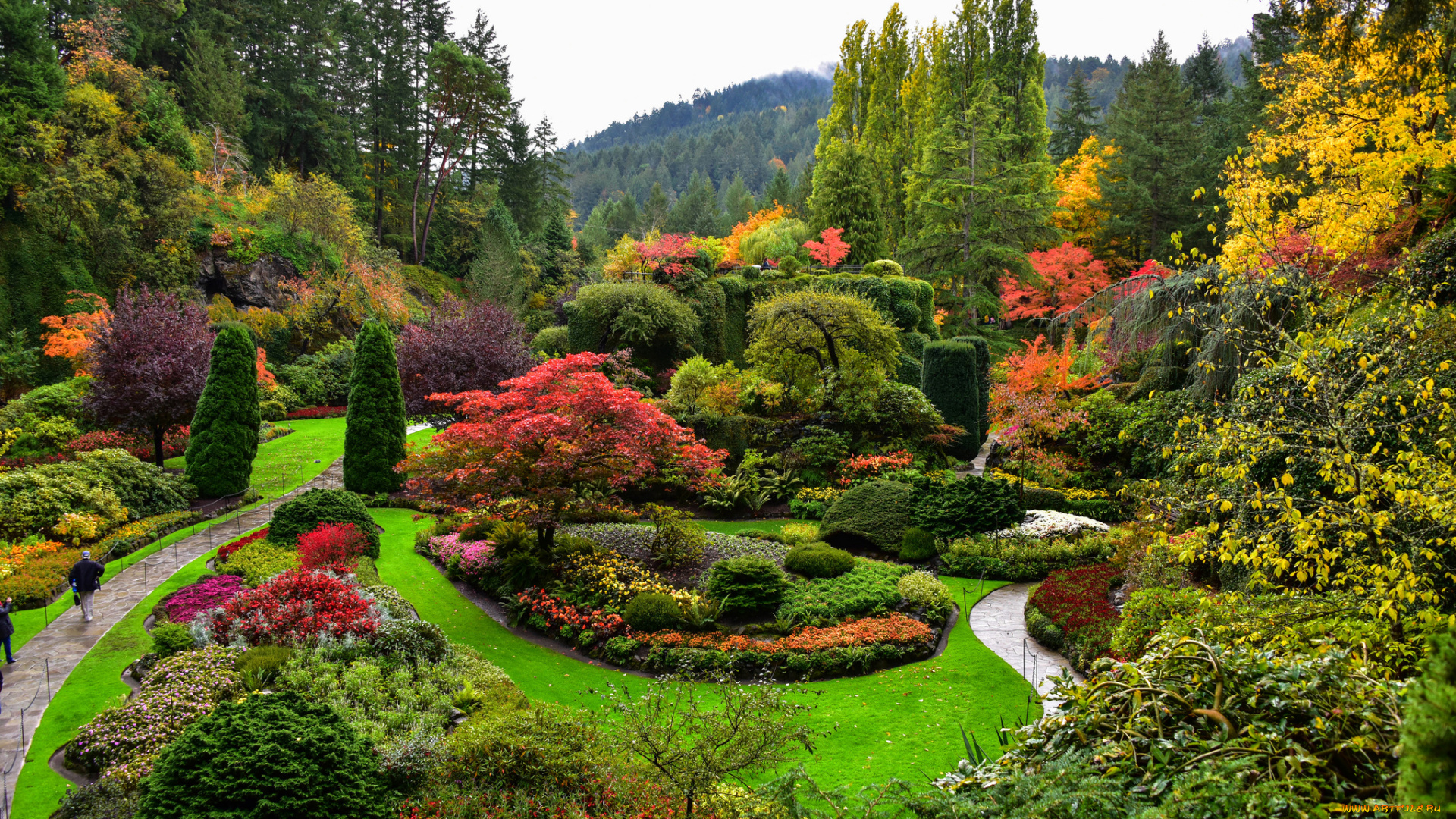 природа, парк, кустарники, озеленение