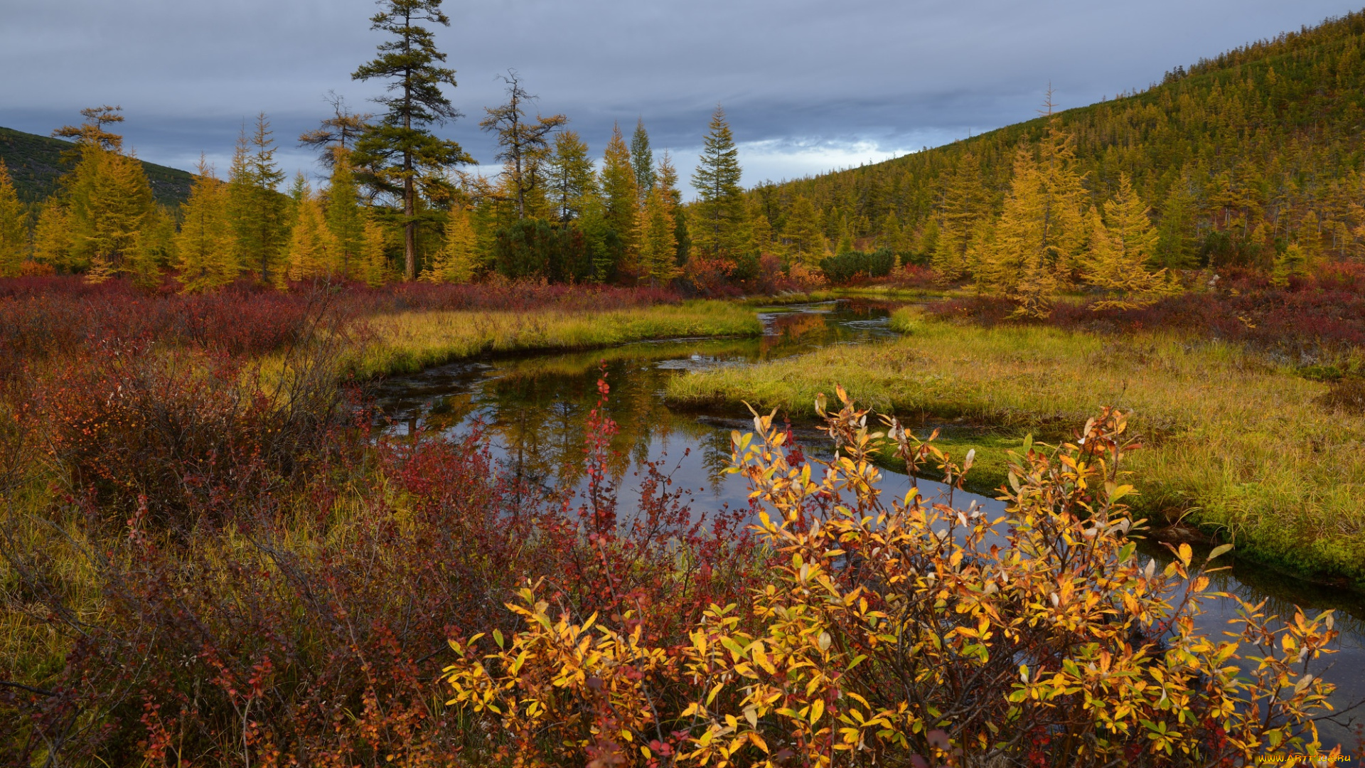 природа, пейзажи, осень, колыма, ручей, неведомый