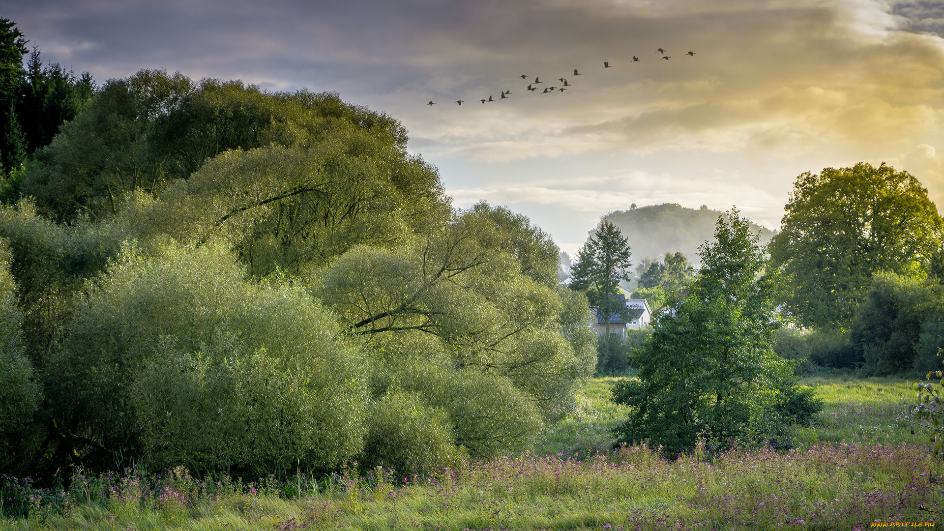 природа, пейзажи, простор