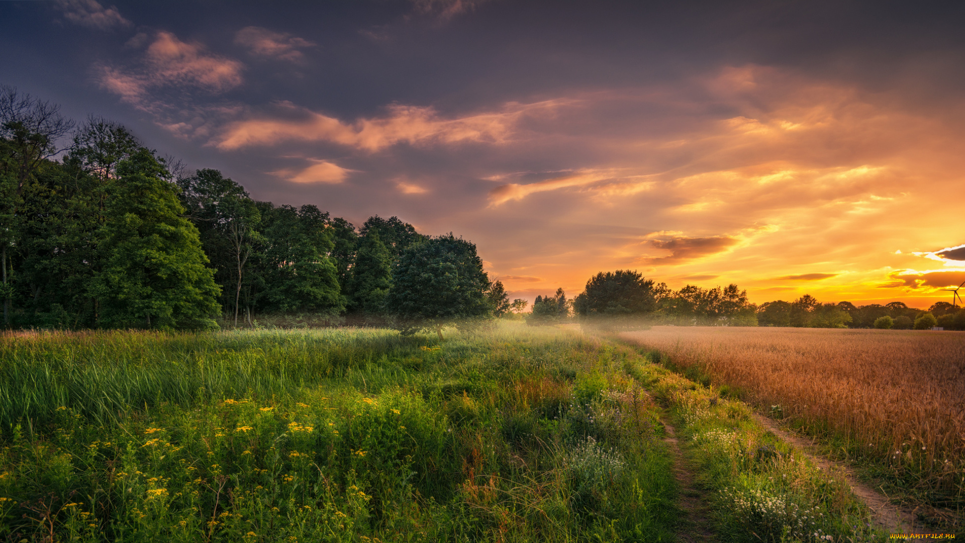 природа, пейзажи, простор