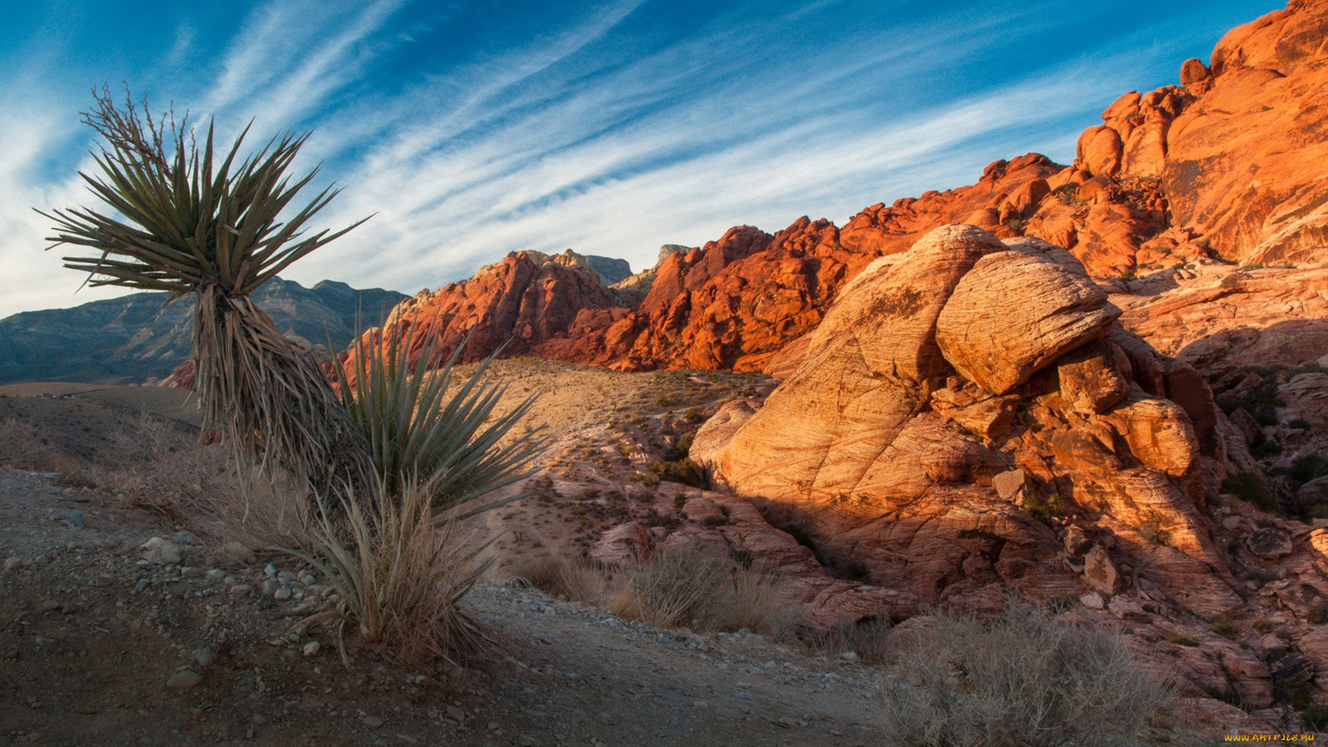 природа, пустыни, простор