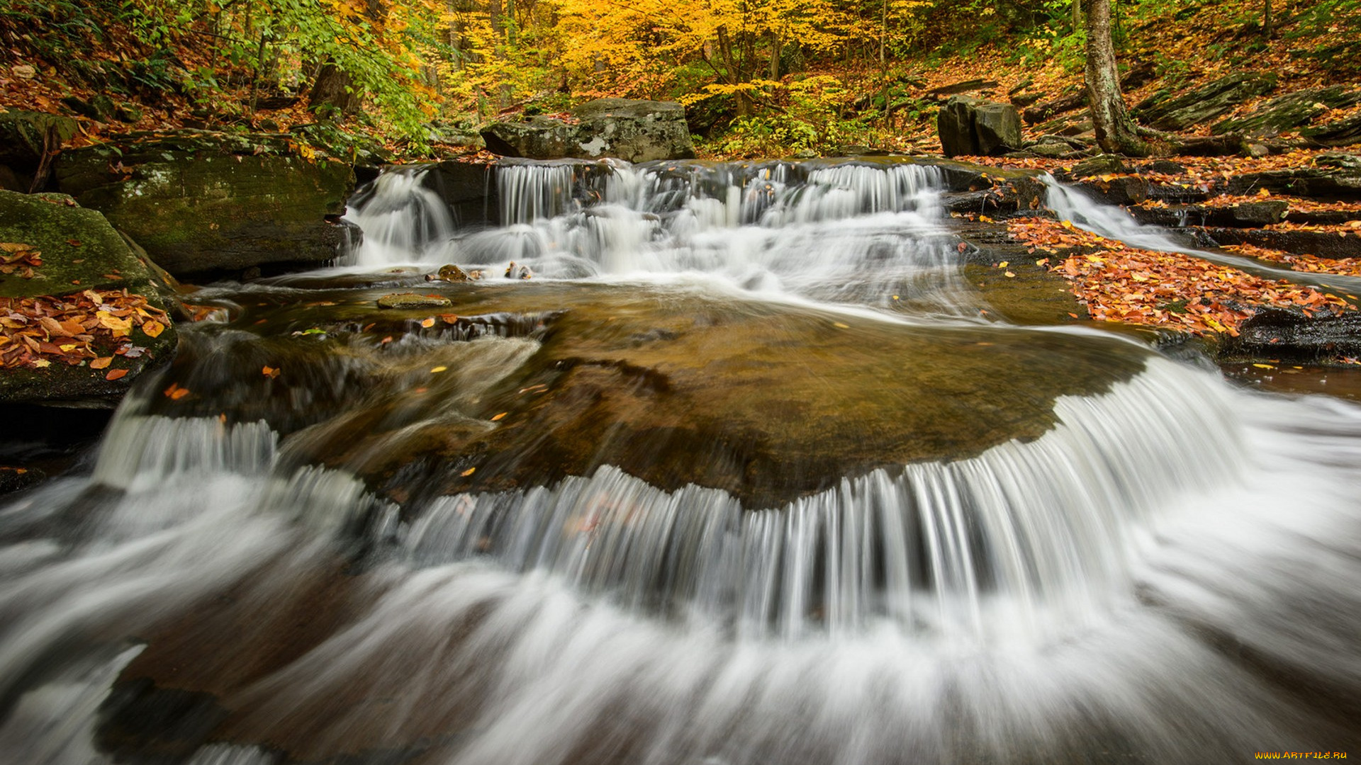 природа, реки, озера, простор