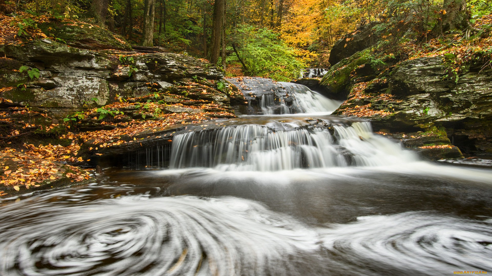 природа, реки, озера, простор