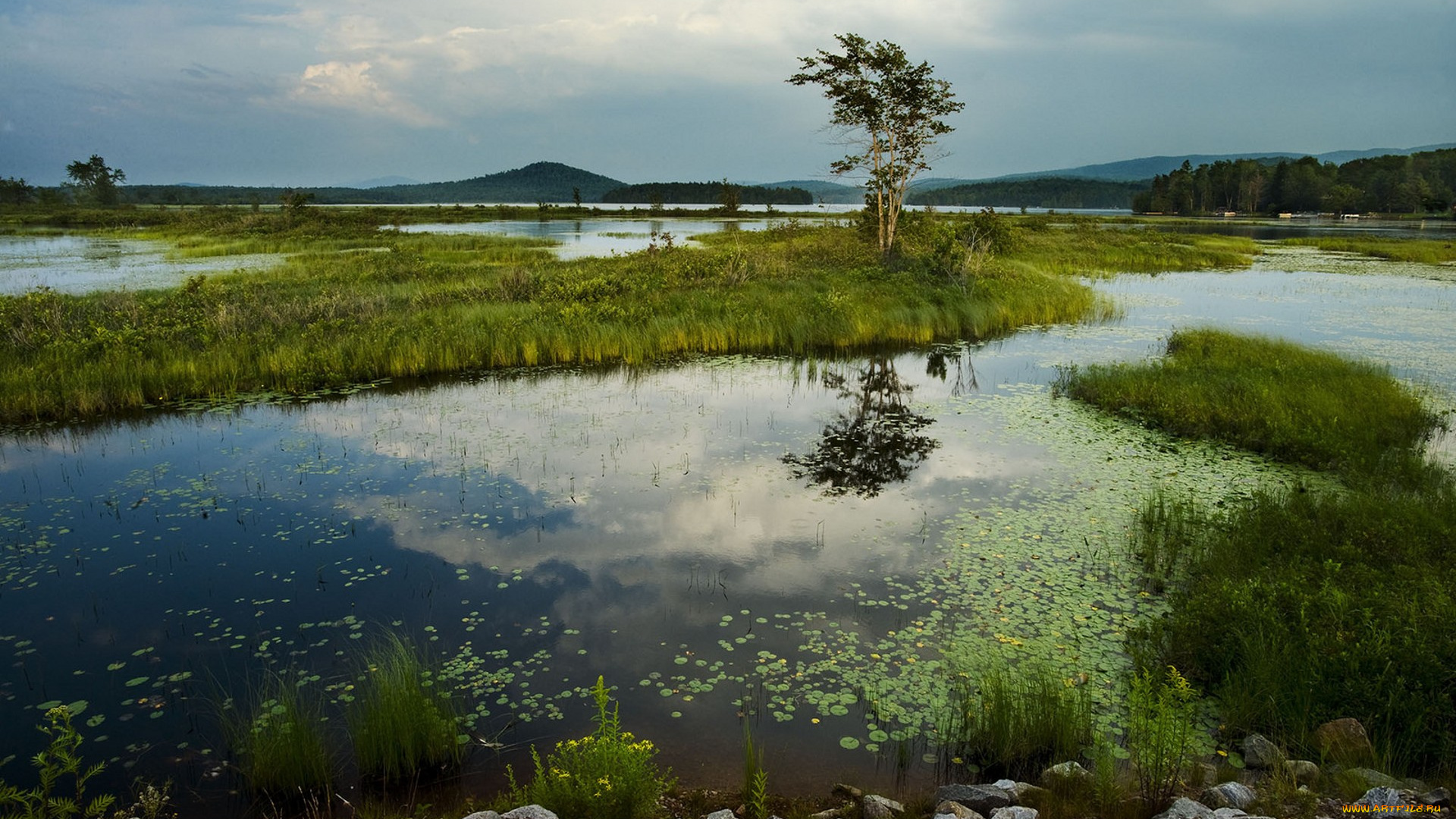 природа, реки, озера, простор
