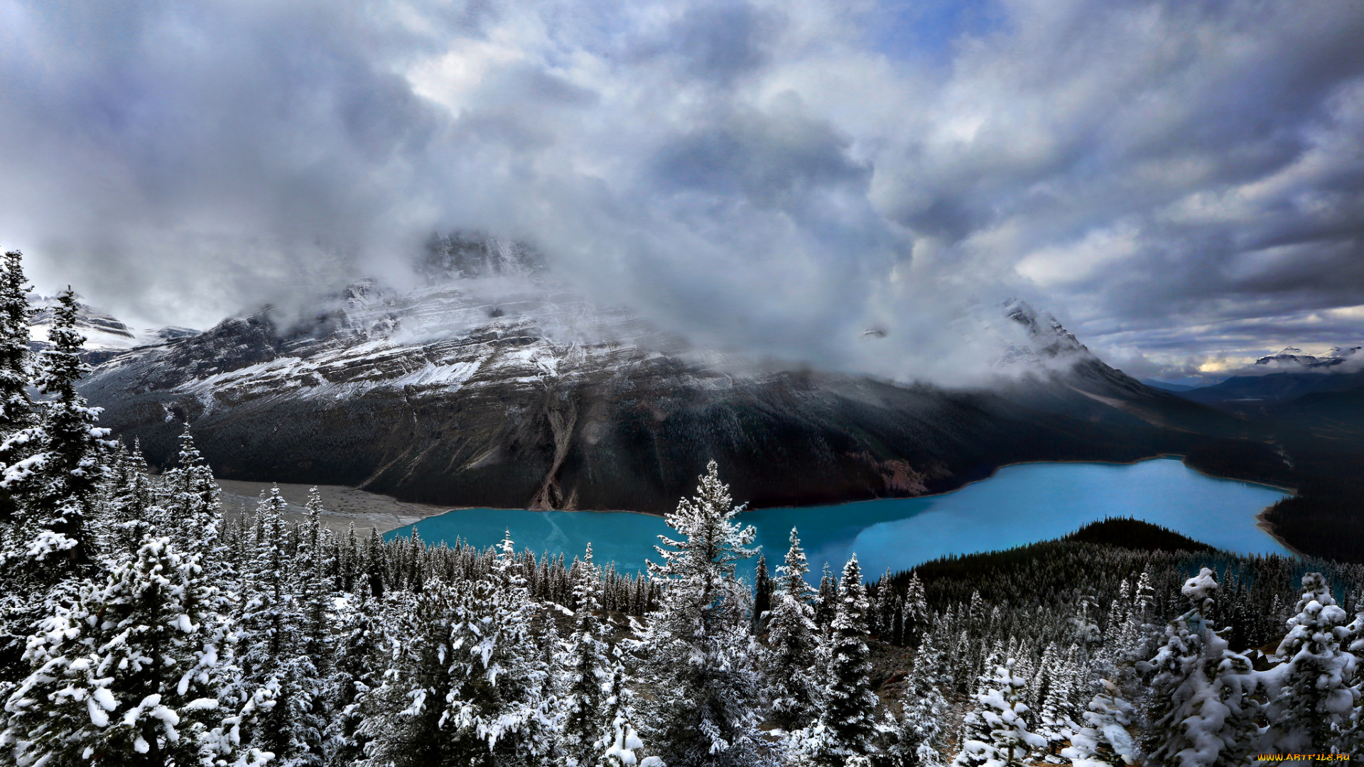 природа, реки, озера, простор