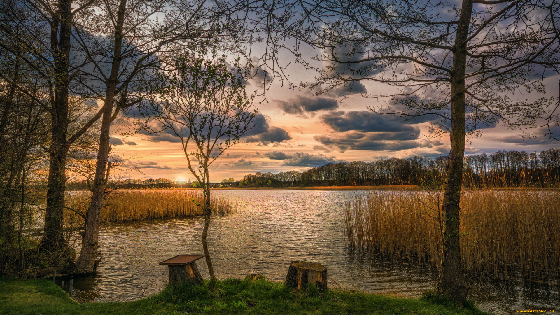 природа, реки, озера, простор