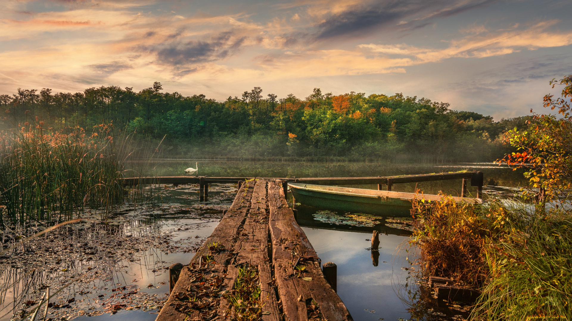 природа, реки, озера, простор