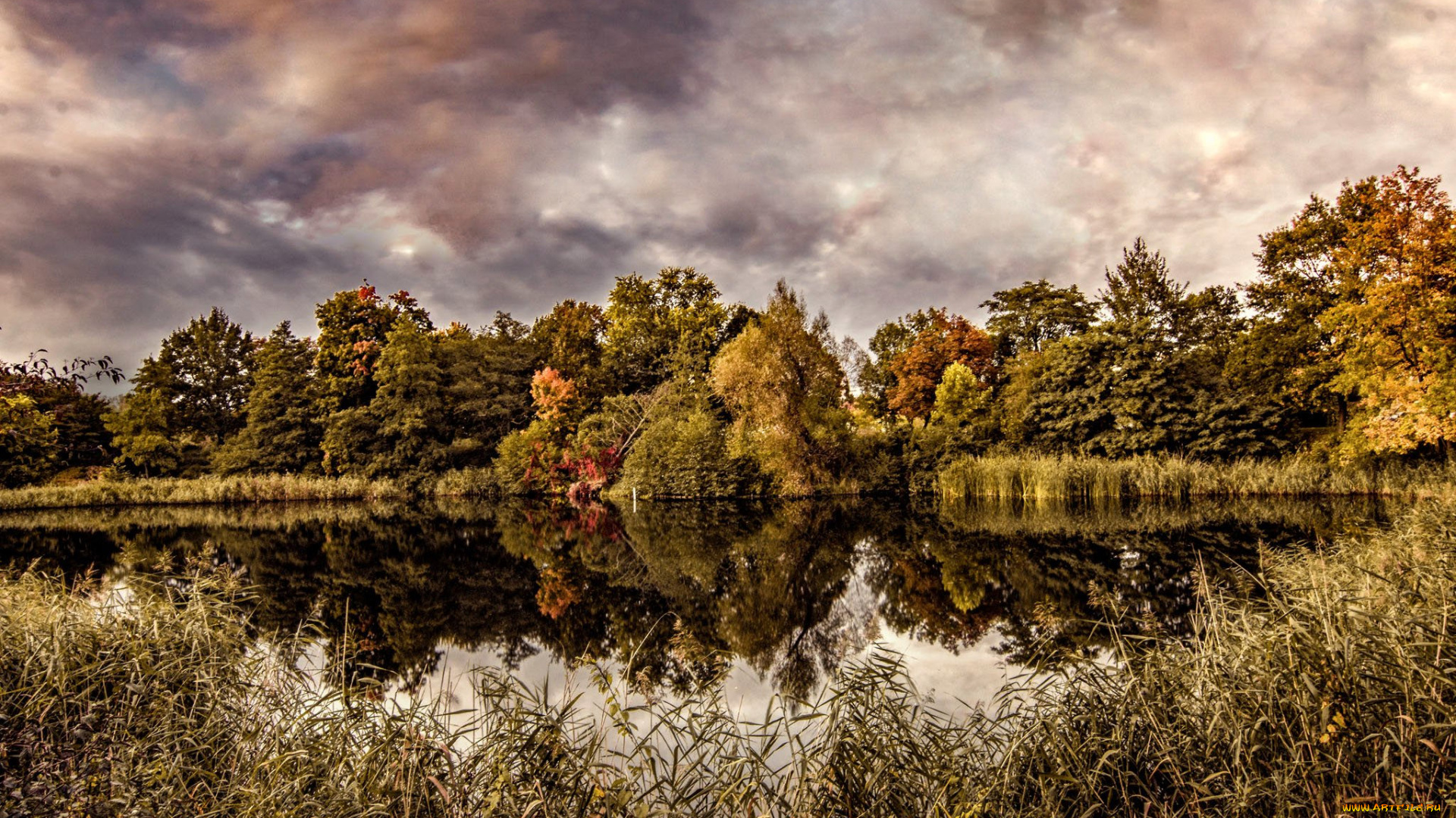 природа, реки, озера, простор