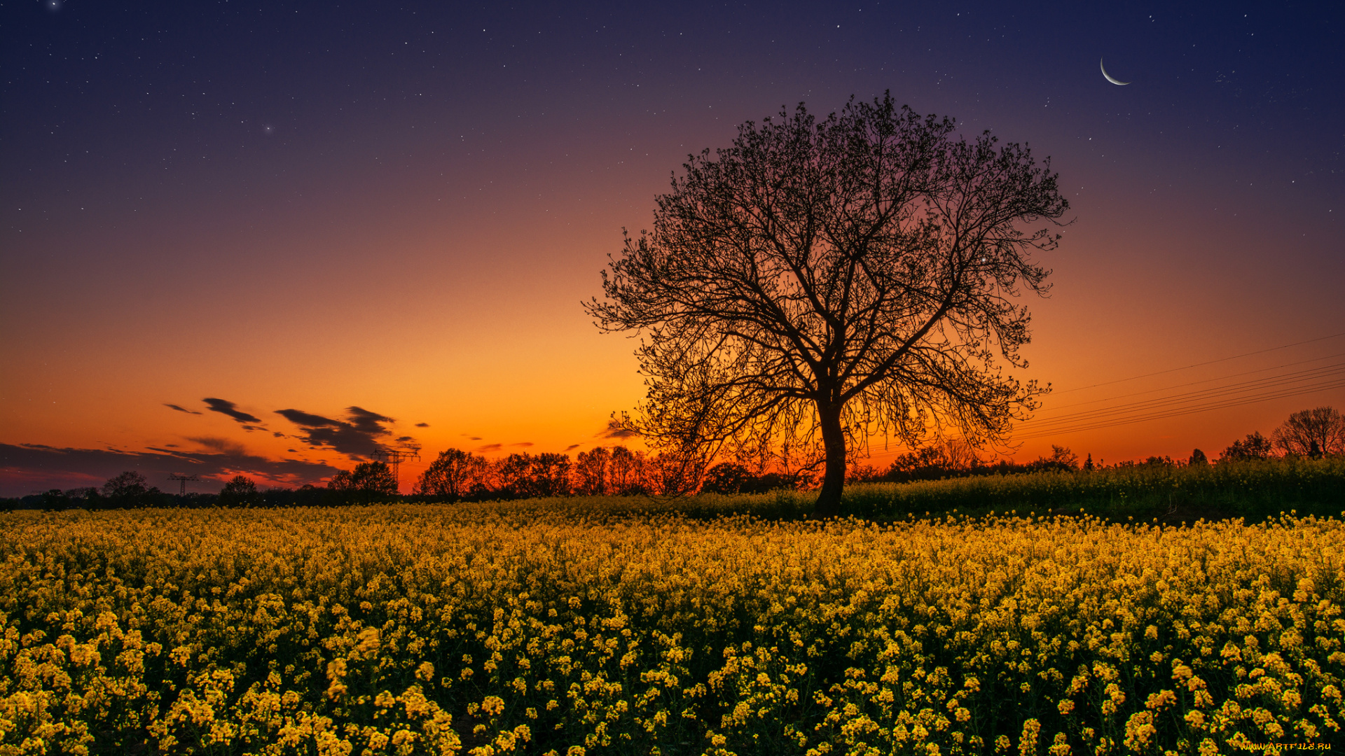 природа, восходы, закаты, простор